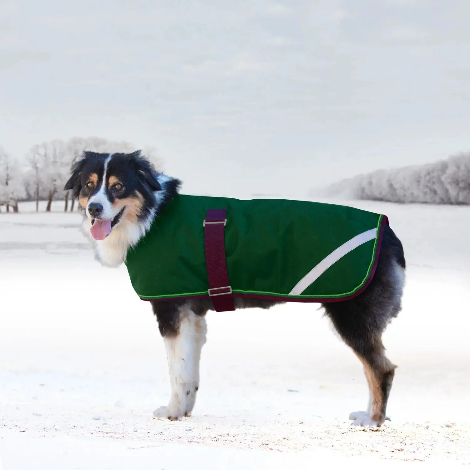 1200D 180G Medium Weight Waterproof & Breathable Dog Coat - Image 5