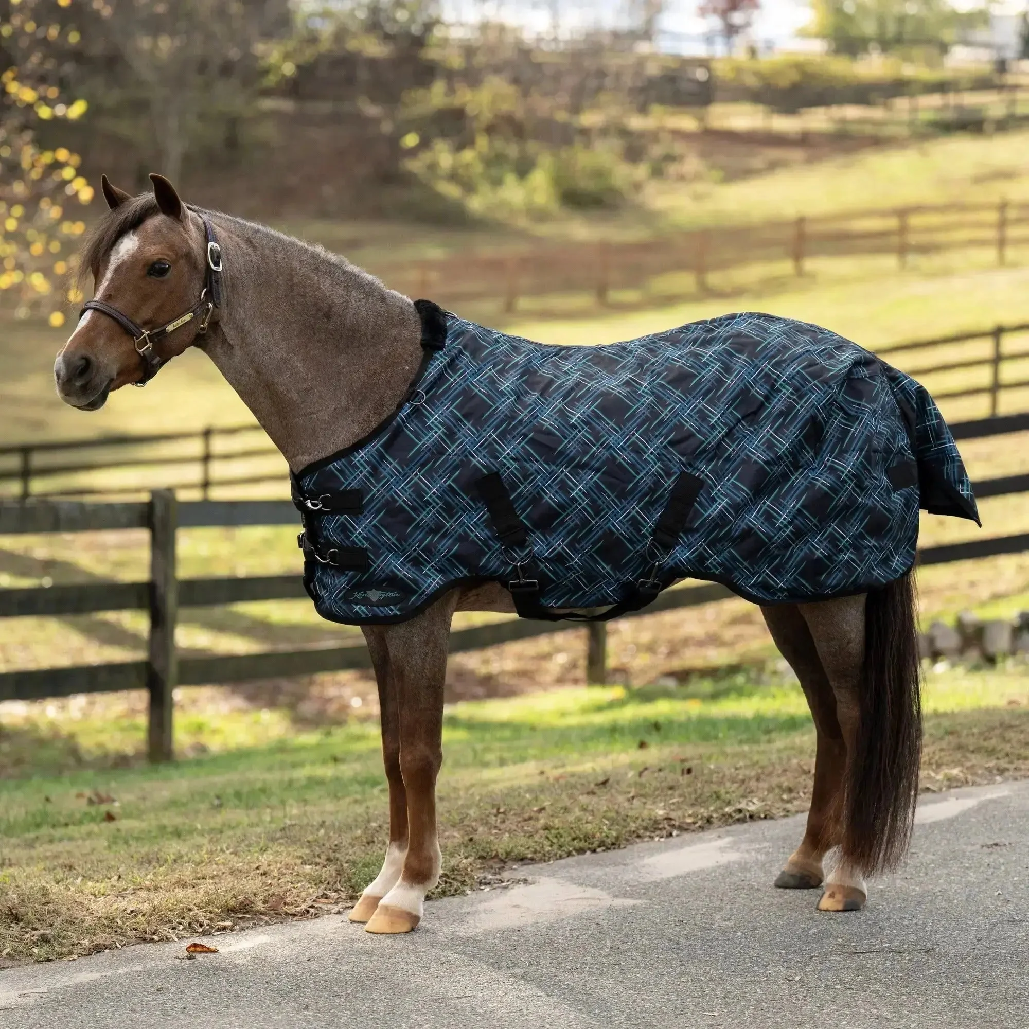1200D 180G Medium Weight Waterproof & Breathable Pony Winter Turnout - Image 4