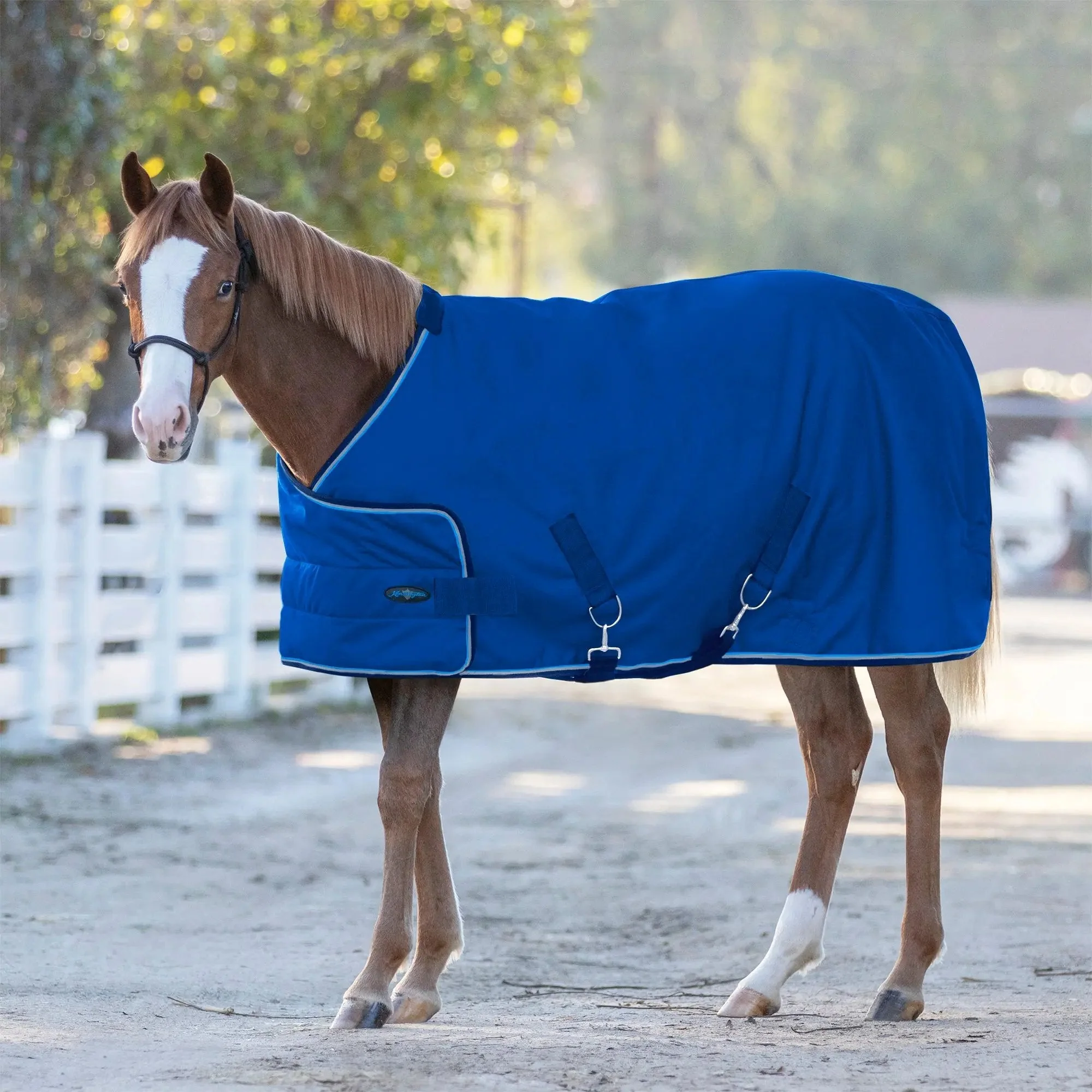 1200D 180G Waterproof Adjustable Weanling Turnout Blanket - Image 7