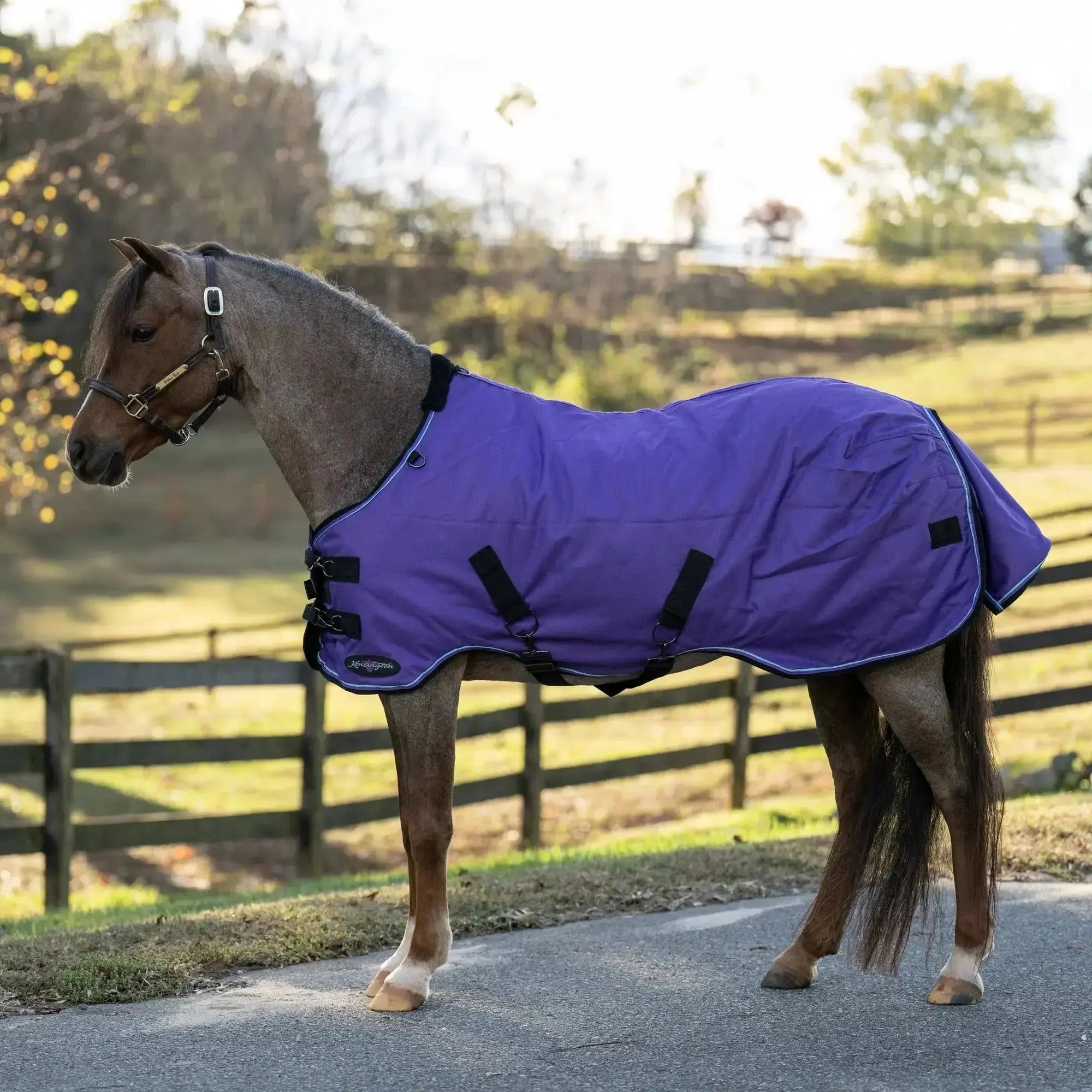 1200D 300G Heavy Weight Waterproof & Breathable Pony Winter Turnout - Image 4