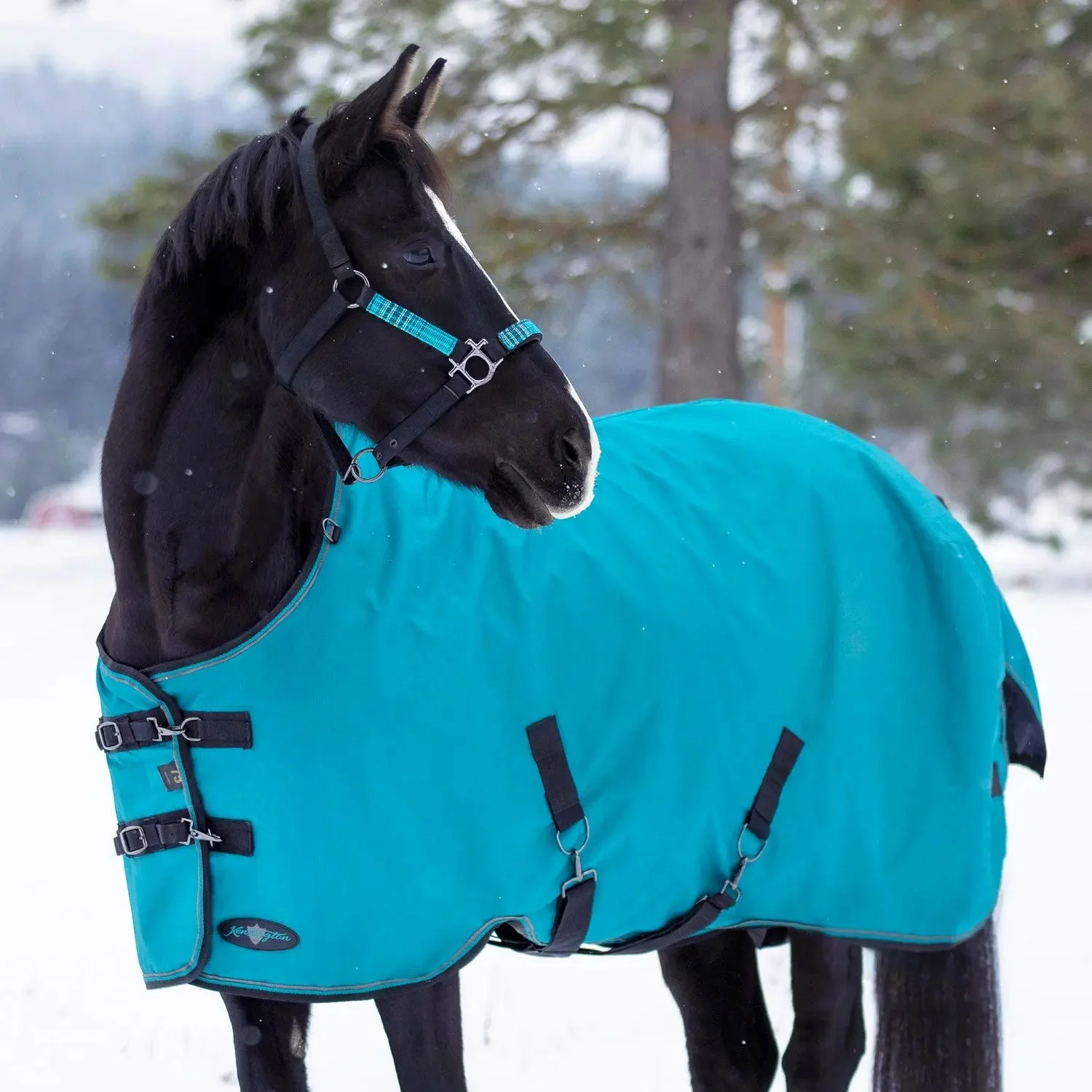 1200D 300G Heavy Weight Waterproof & Breathable Winter Turnout Blanket - Image 13