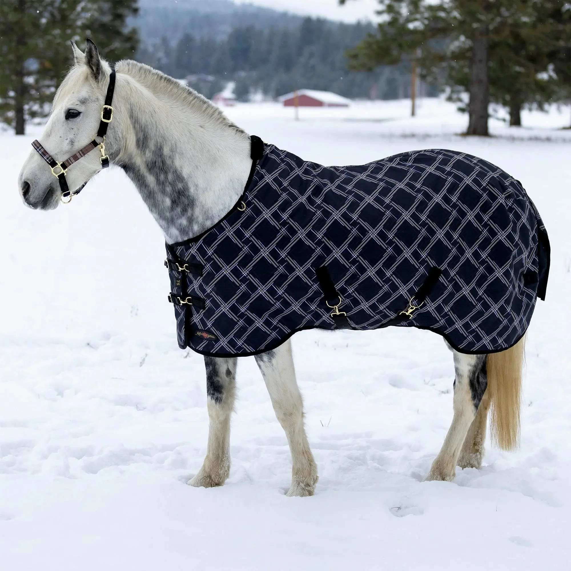 1200D 300G Heavy Weight Waterproof & Breathable Winter Turnout Blanket - Image 6
