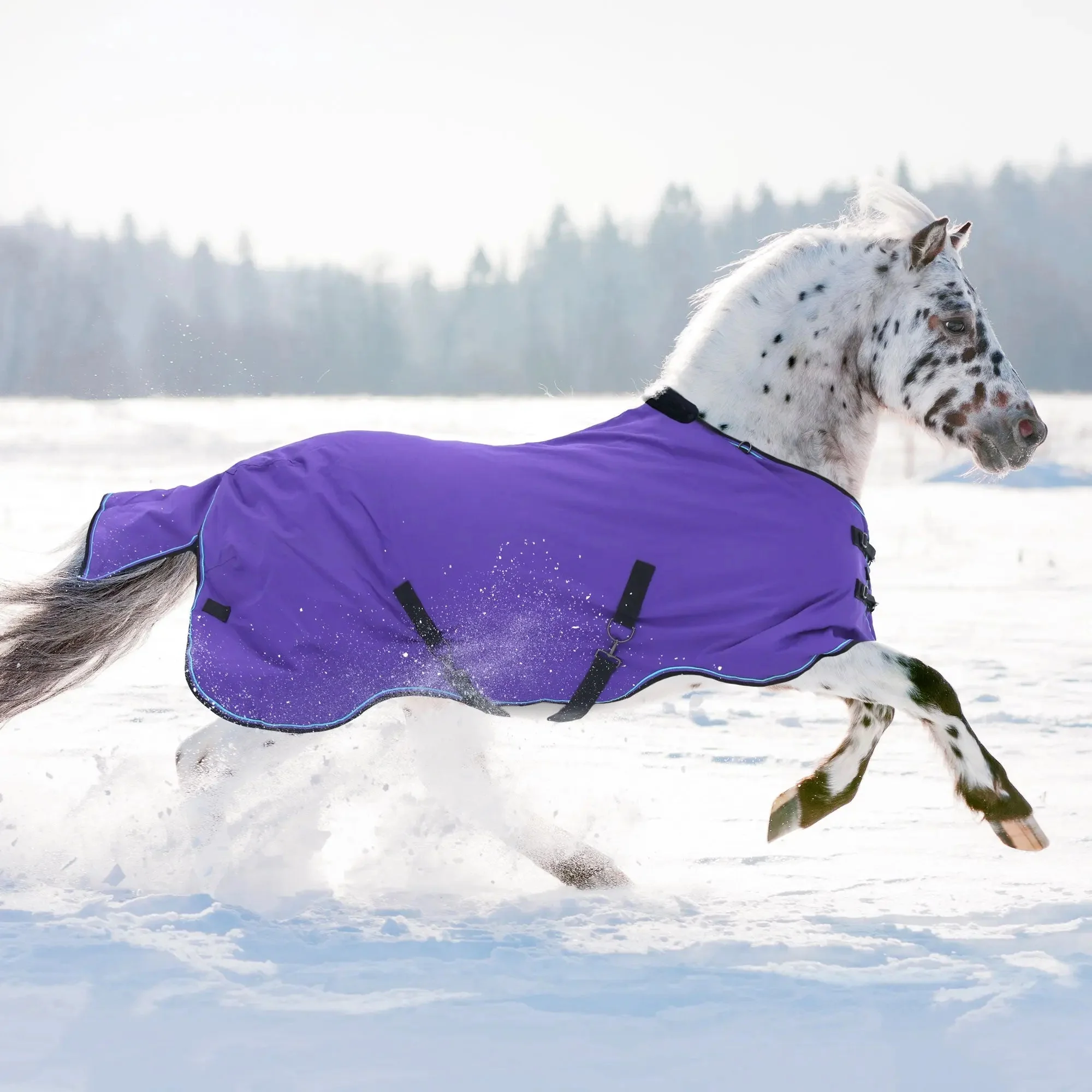 1200D 80G Light Weight Waterproof & Breathable Pony Winter Turnout - Image 8