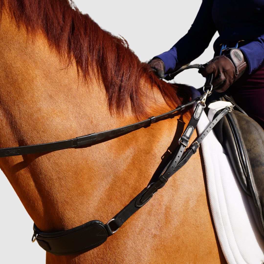 3-in-1 Training Breastplate - Image 10