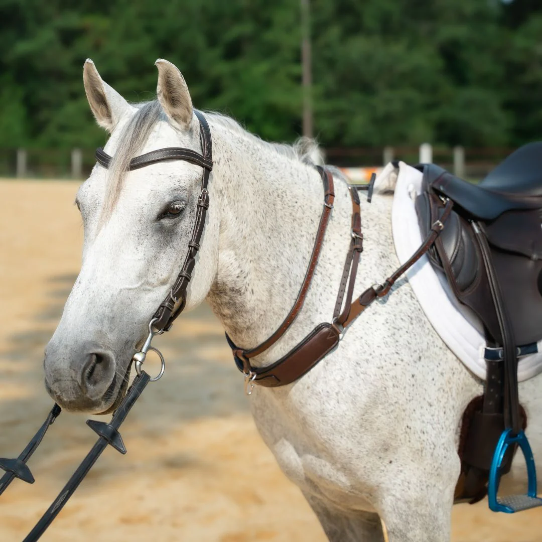 3-in-1 Training Breastplate - Image 21