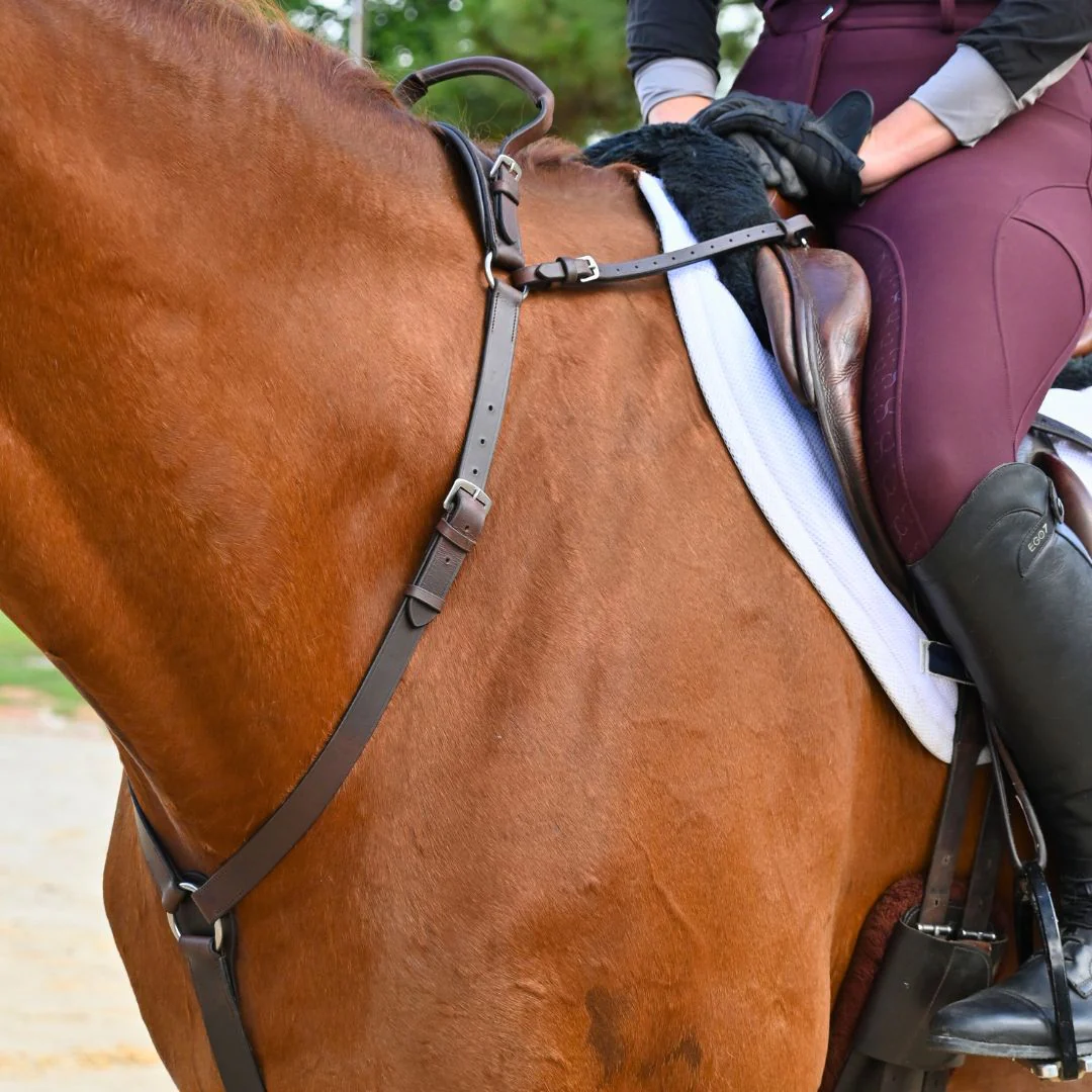 3-Point Breastplate with Double Neck Strap - Image 2