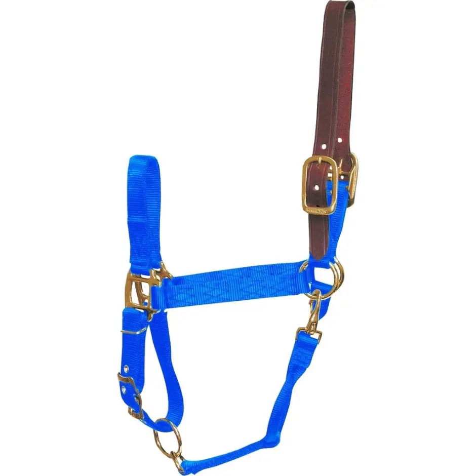 Adjustable Horse Halter With Leather Headpole - Image 18