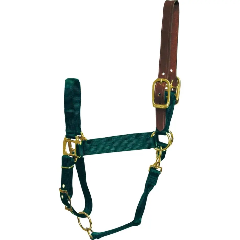 Adjustable Horse Halter With Leather Headpole - Image 19