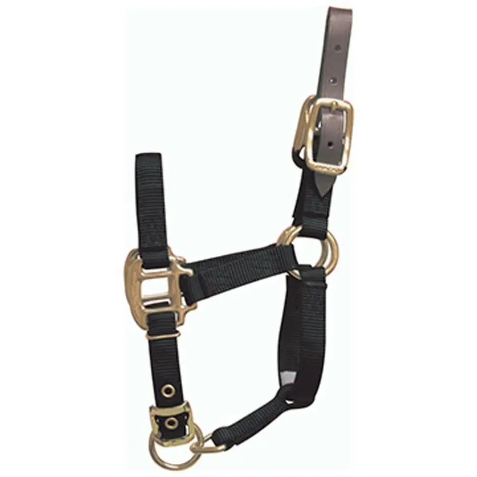 Adjustable Horse Halter With Leather Headpole - Image 2