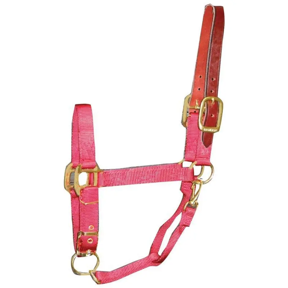 Adjustable Horse Halter With Leather Headpole - Image 21