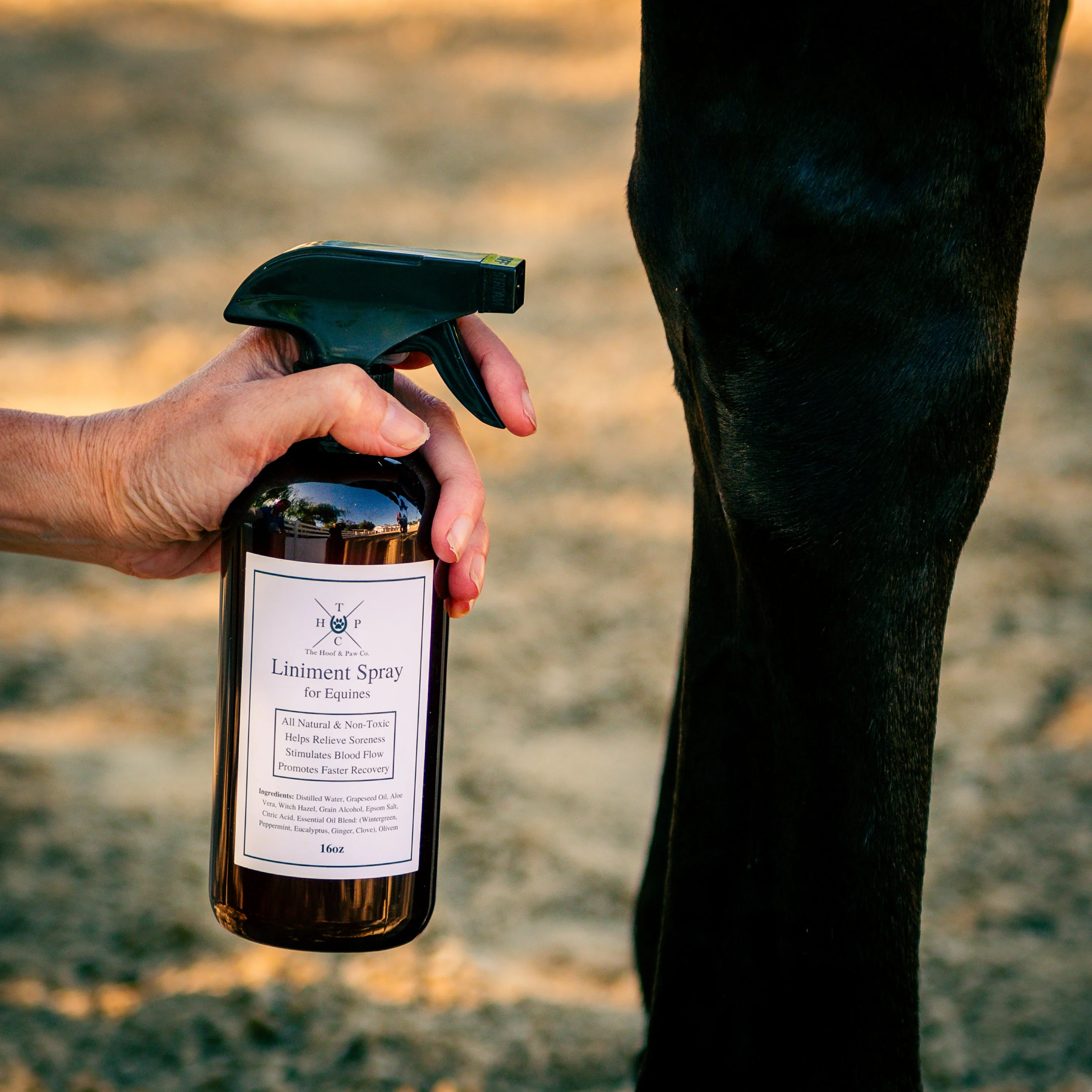 All Natural Liniment Spray - For Horses - 16oz - Image 4