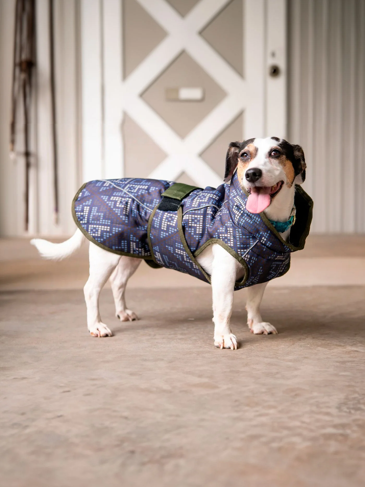 All Weather Dog Coat - Image 2