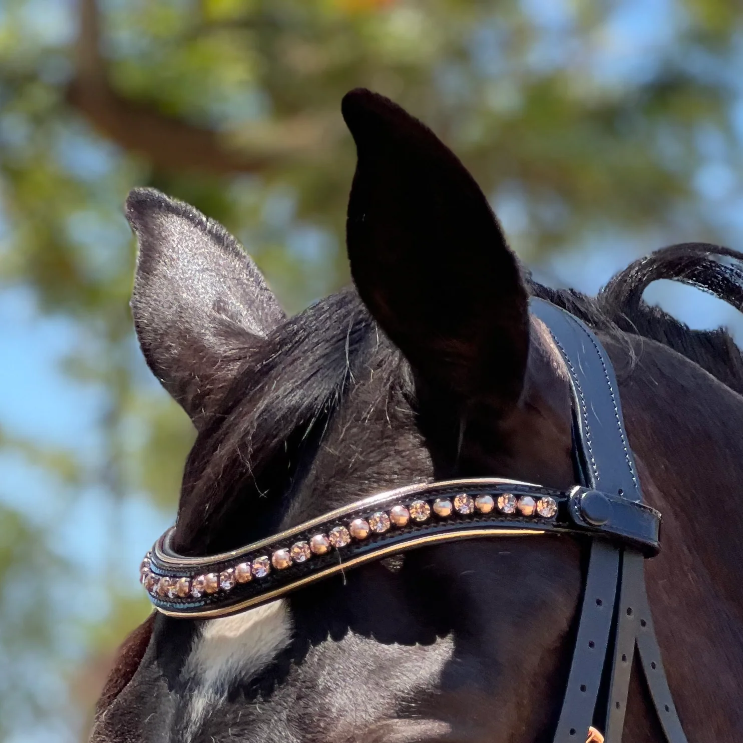 Aurelia Rose Gold Black Patent Double Bridle - Image 4