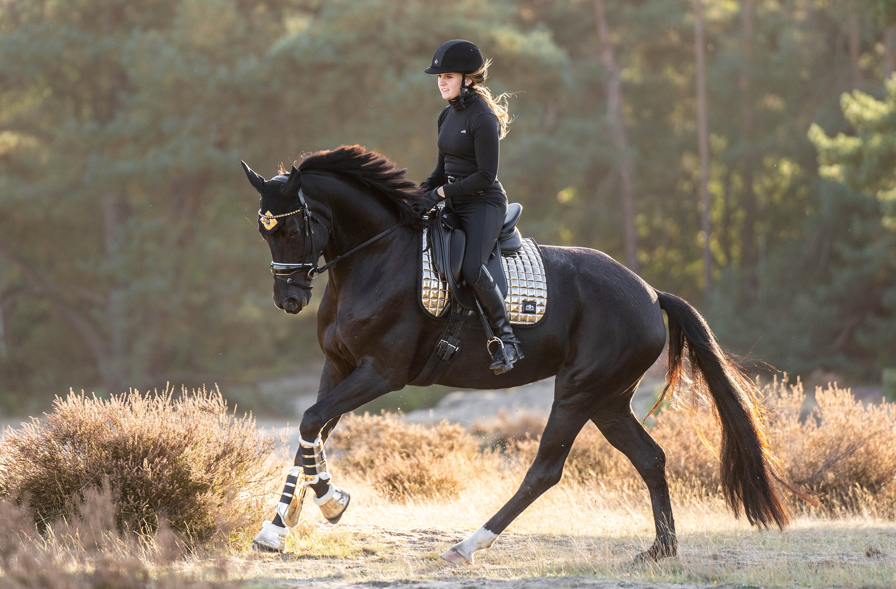 Aurum Brushing Boots - Image 4