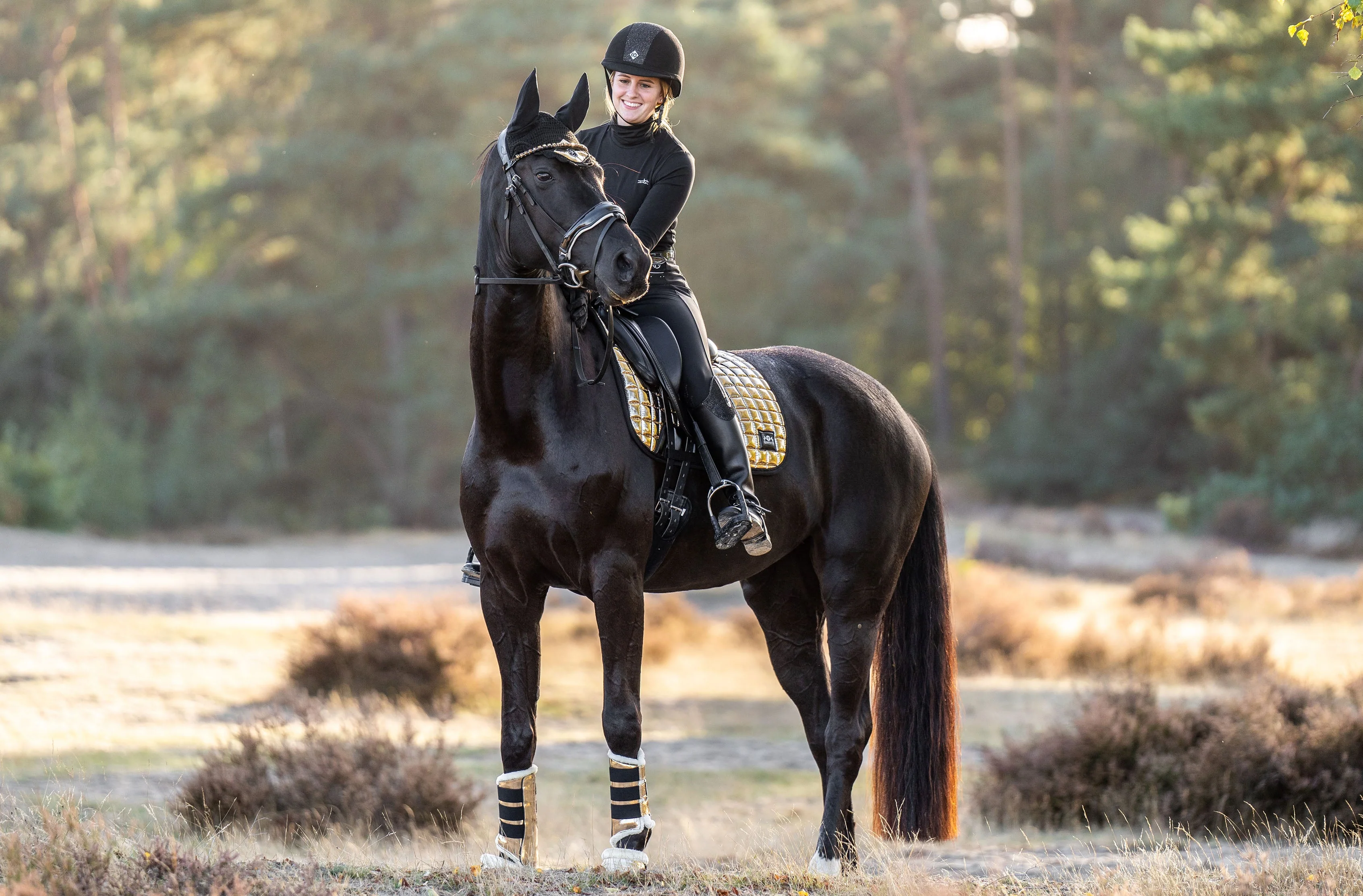 Aurum Saddle Pad Set - Image 10