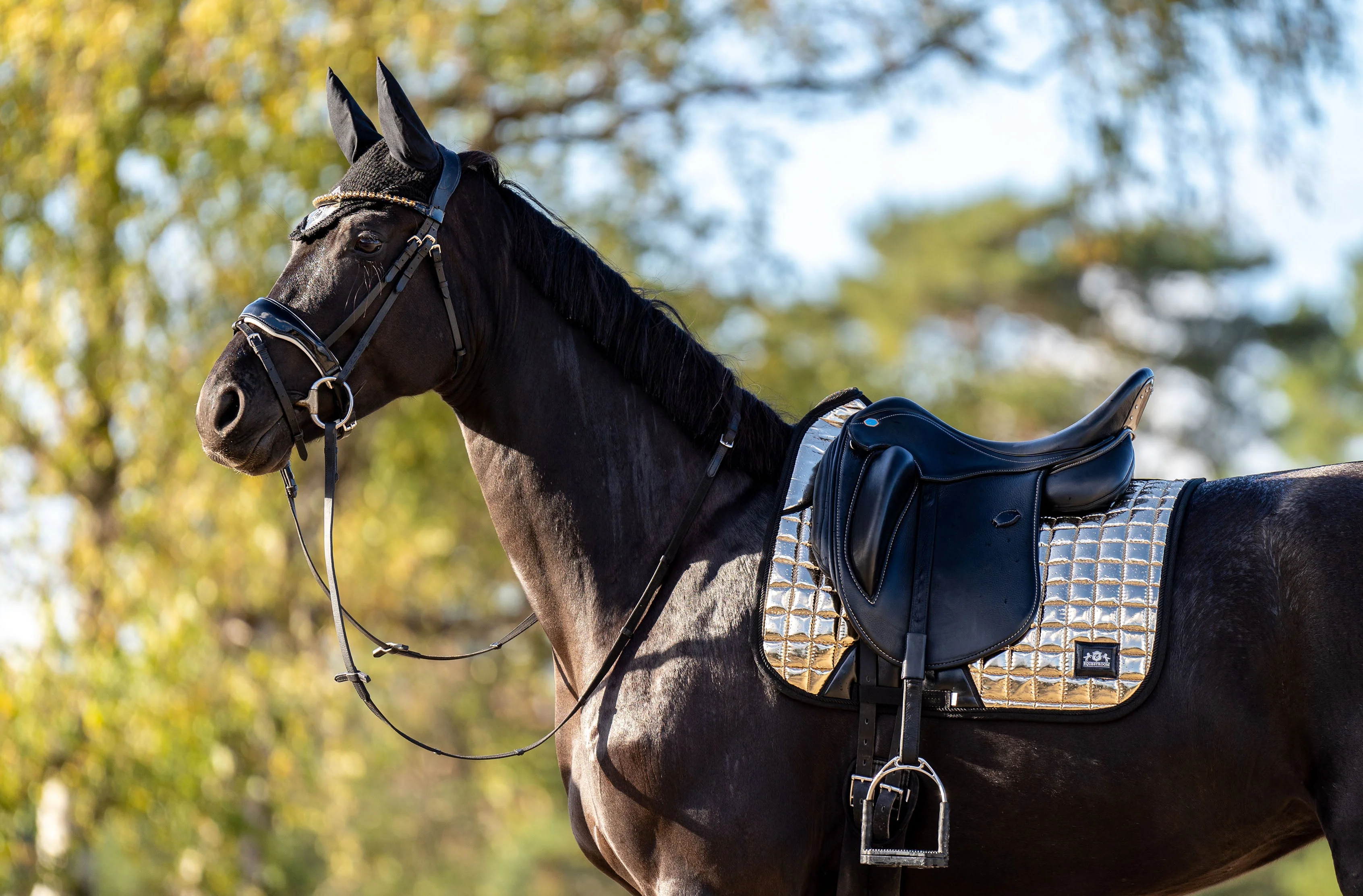Aurum Saddle Pad Set - Image 7