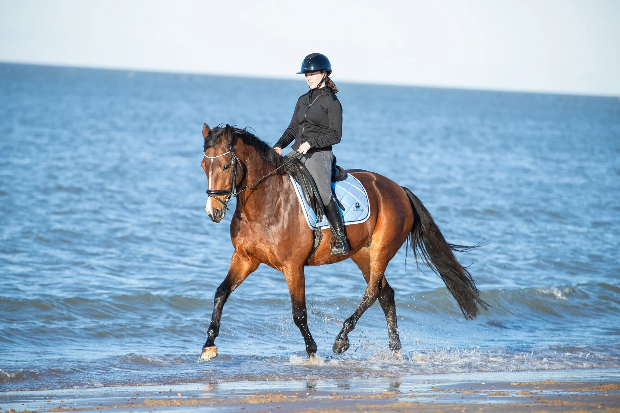 Azurine Saddle Pad Set - Image 9