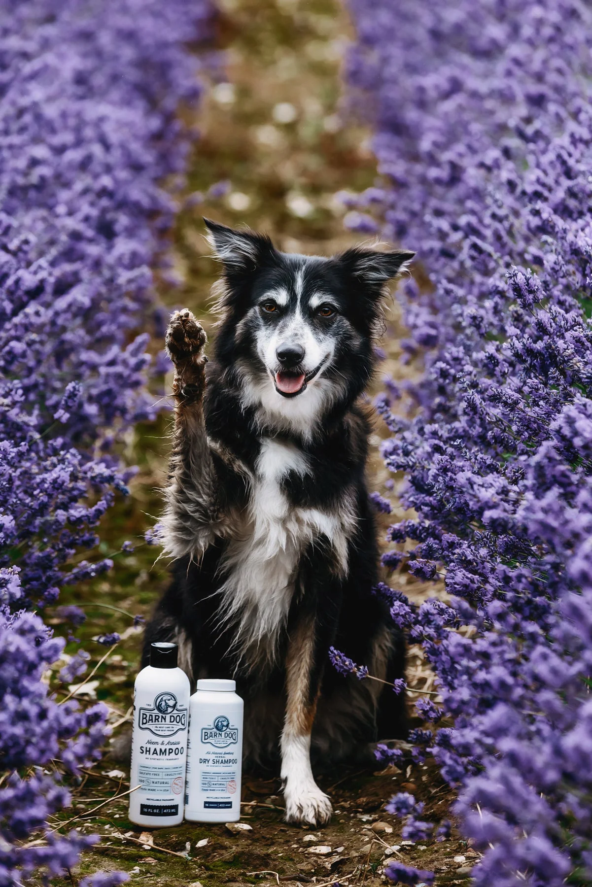 Barn Dog Dry Shampoo - Image 4