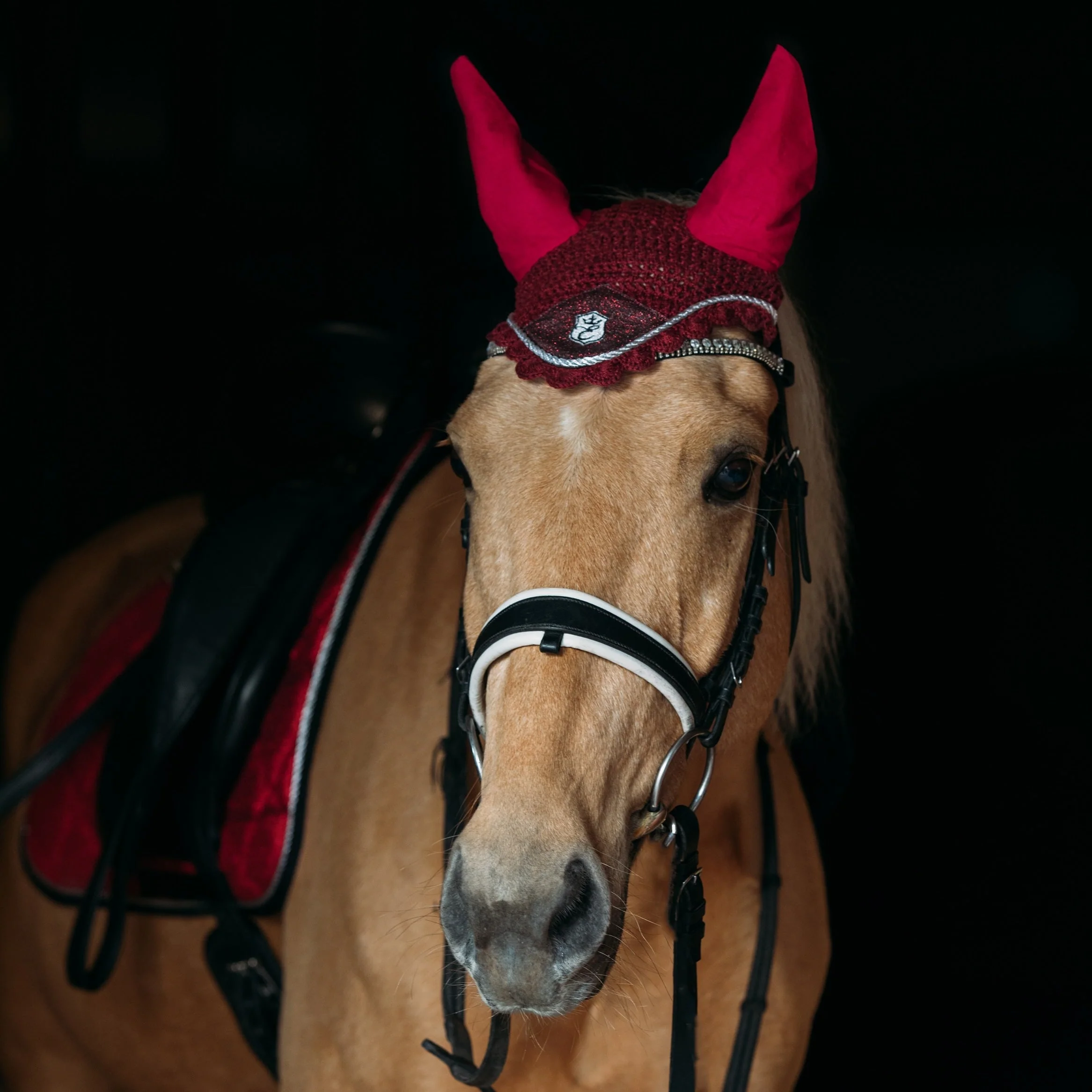 Burgundy Fly Hat - Image 2
