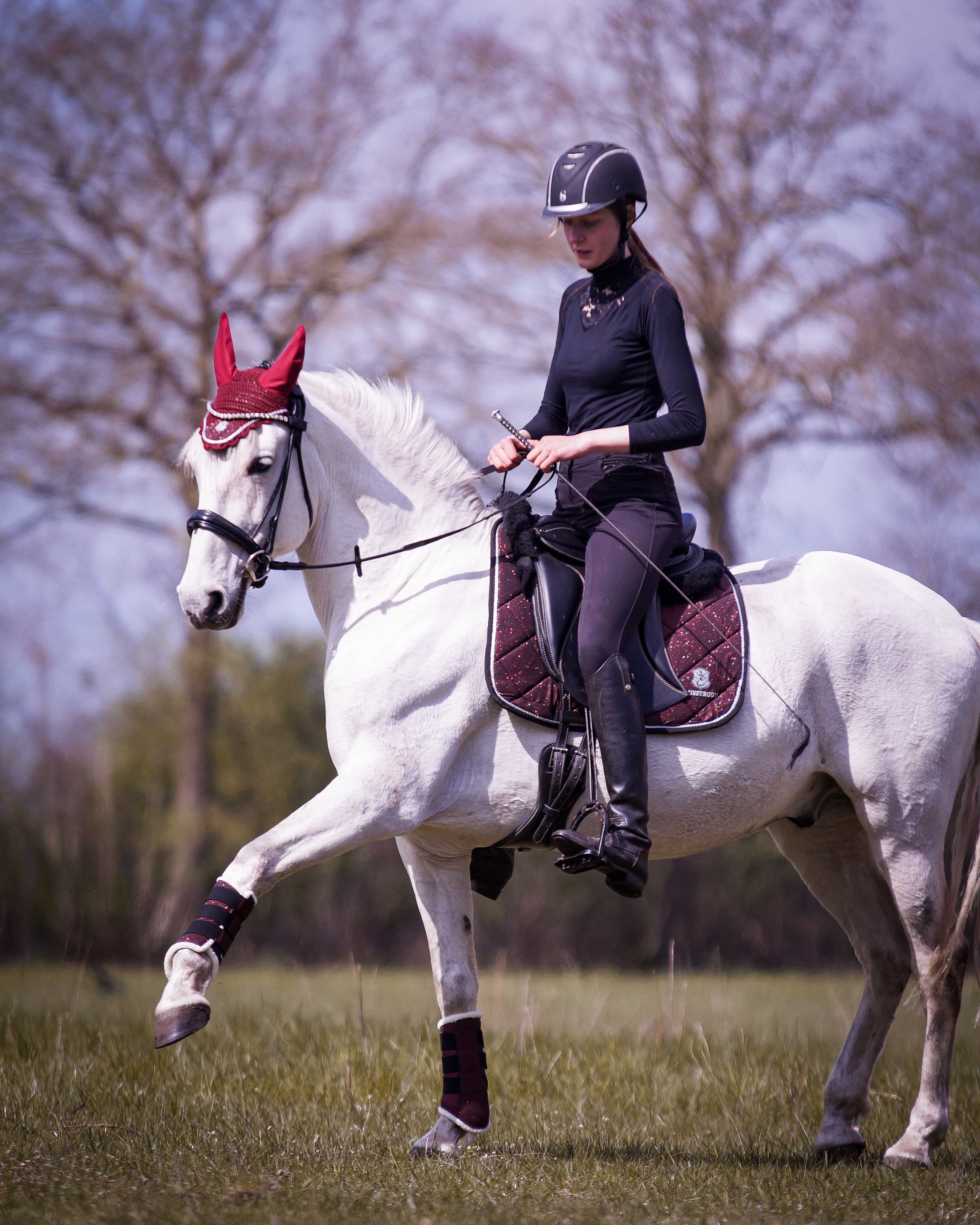 Burgundy Fly Hat - Image 5