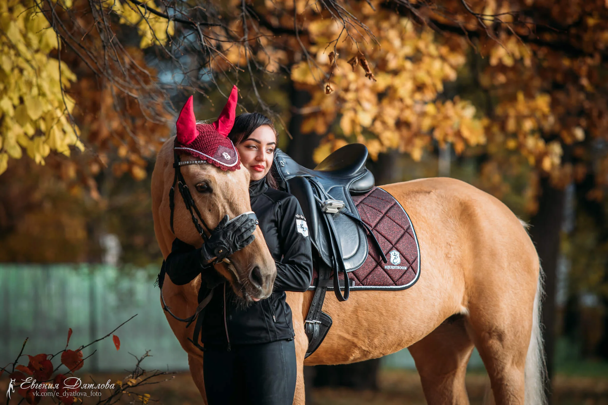 Burgundy Saddle Pad - Image 5