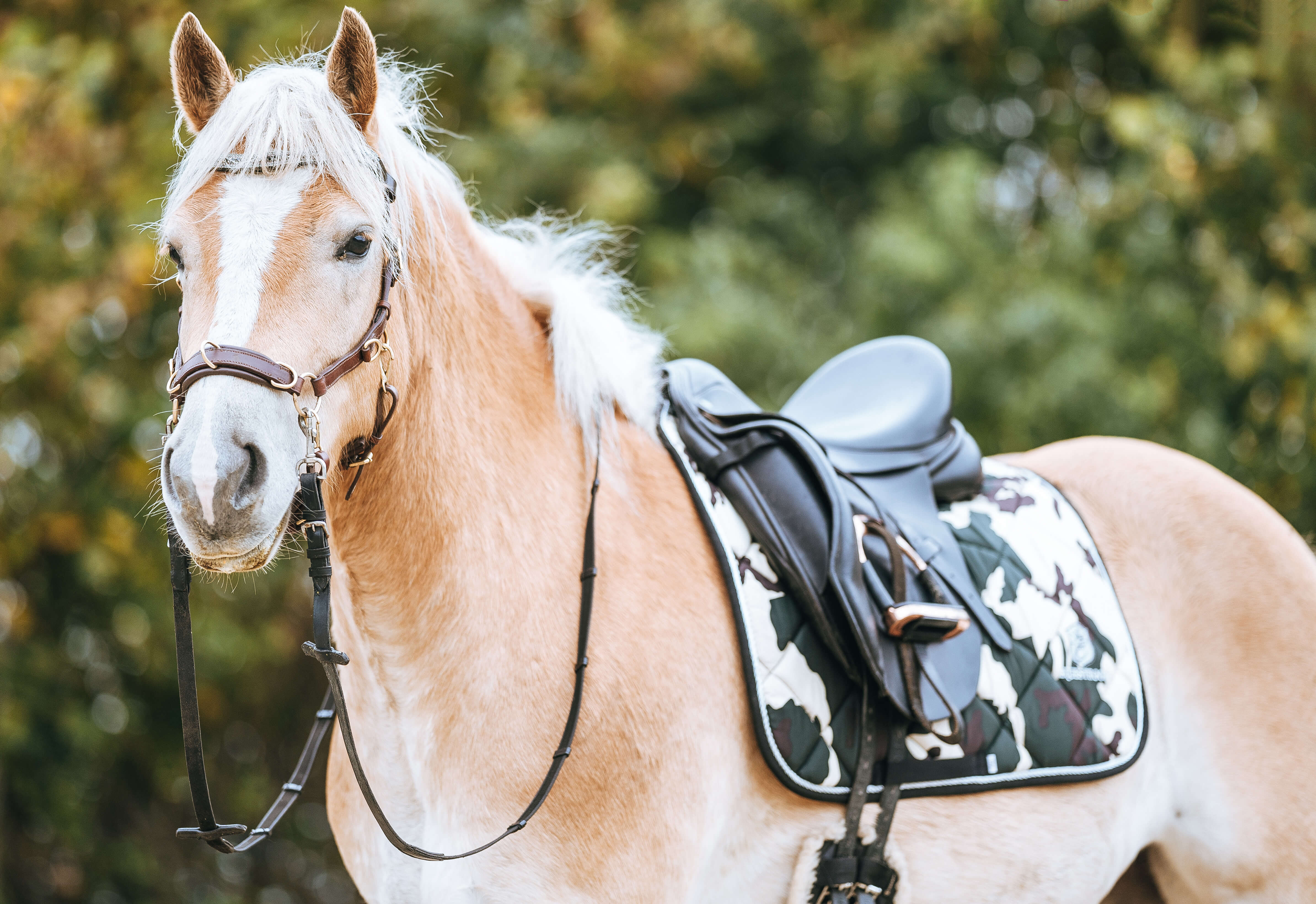 Camouflage Saddle Pad - Image 3
