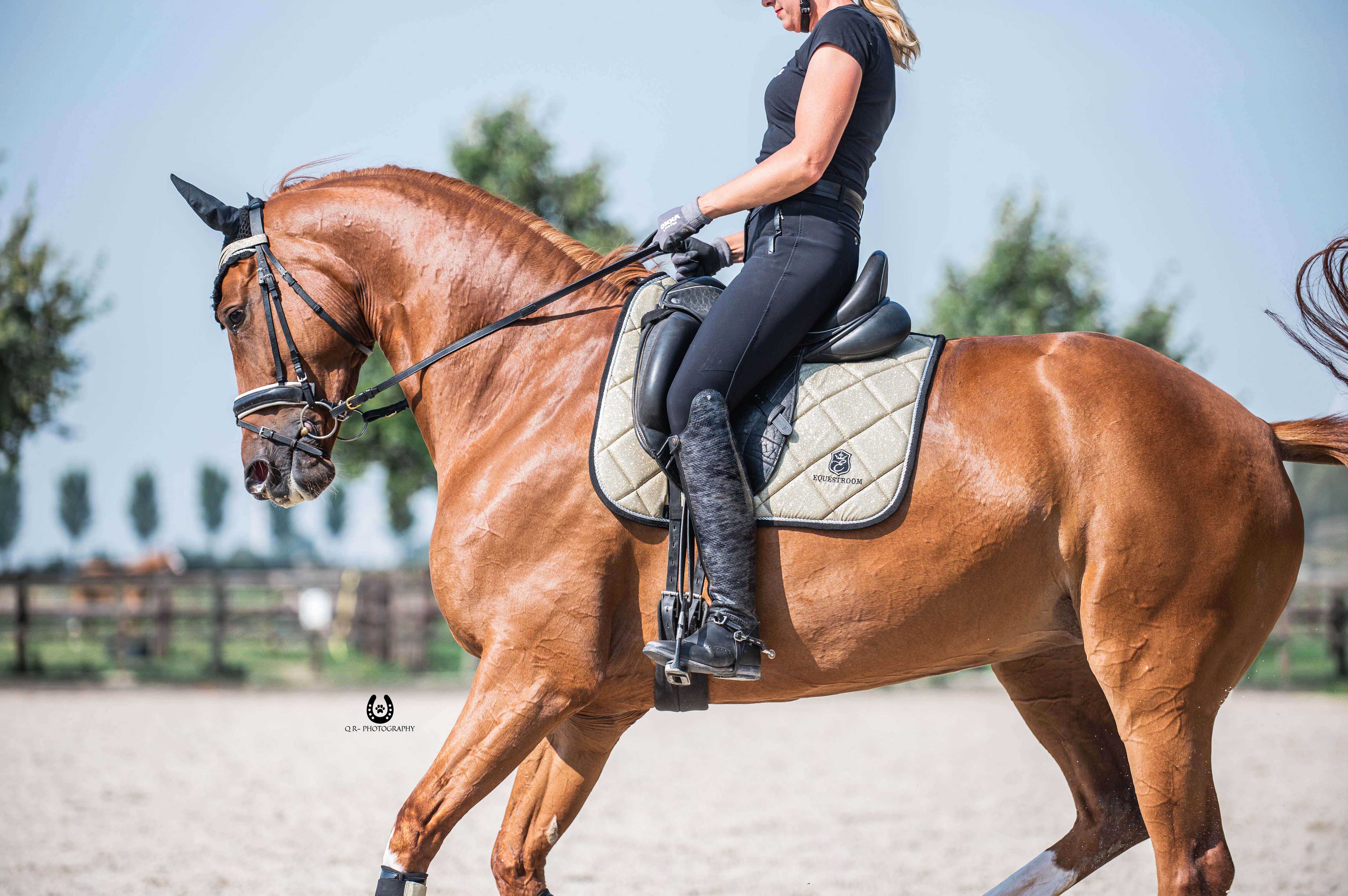Champagne Saddle Pad - Image 6