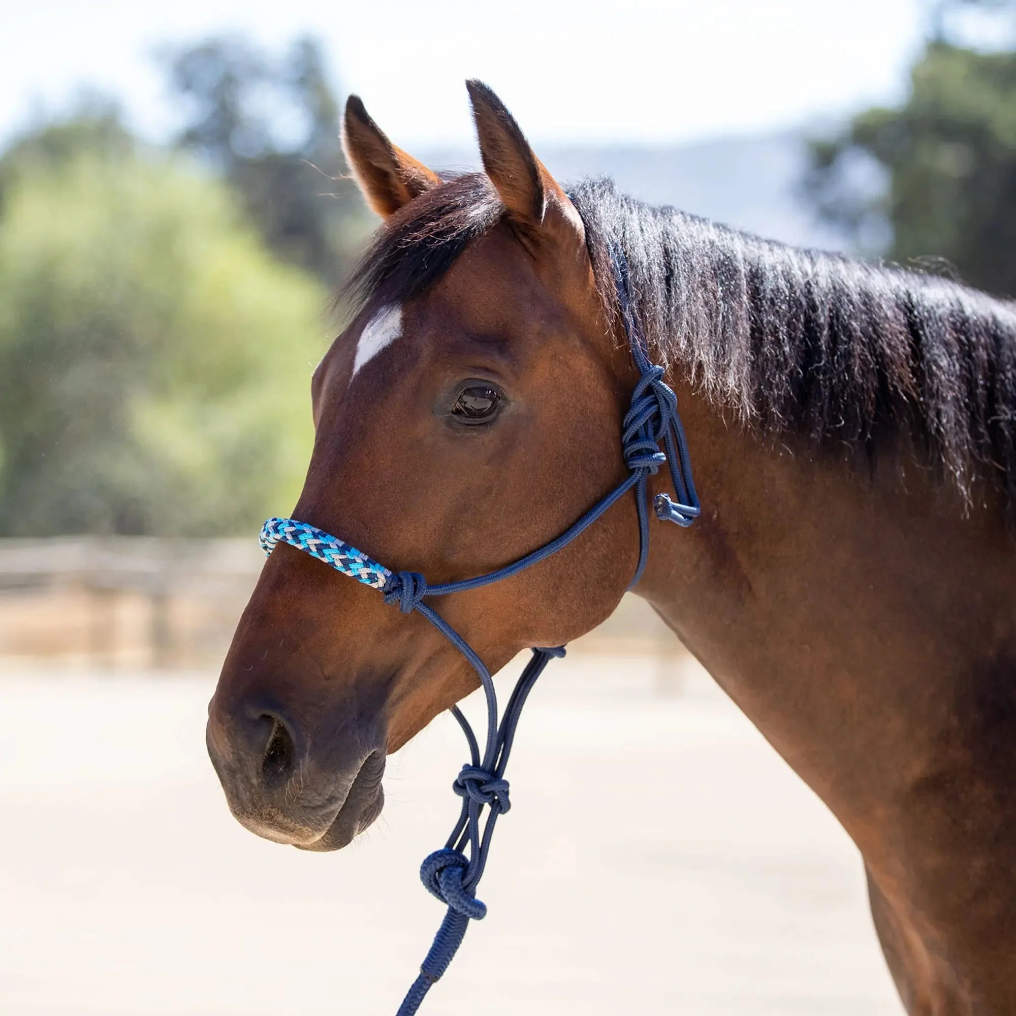 Clinician Rope Halter - Image 4