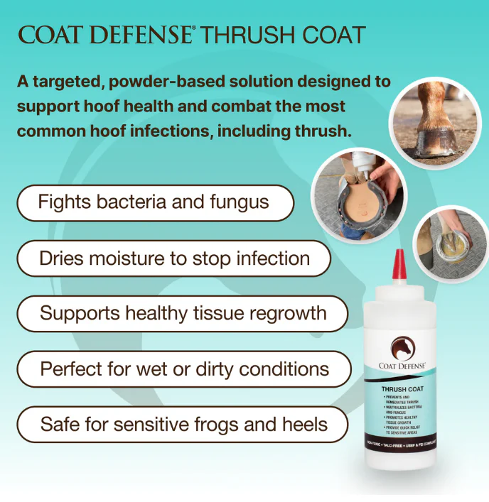 Coat Defense Thrush Coat - Image 3
