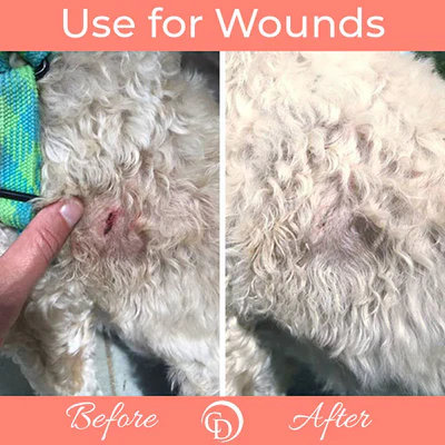 Coat Defense Trouble Spot Pet Paste - Image 2
