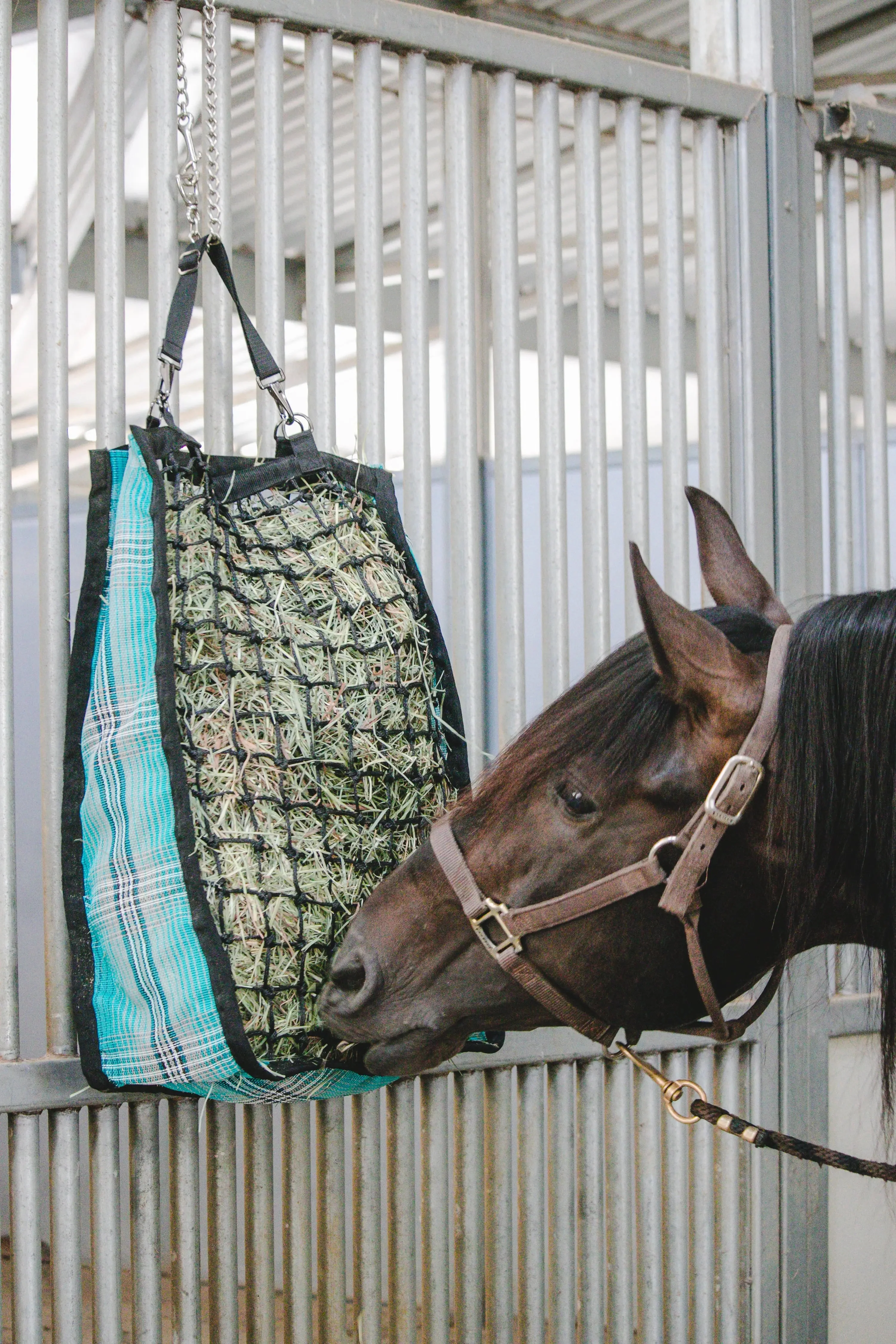 Deluxe Slow Feed Hay Bag - 2 Flake