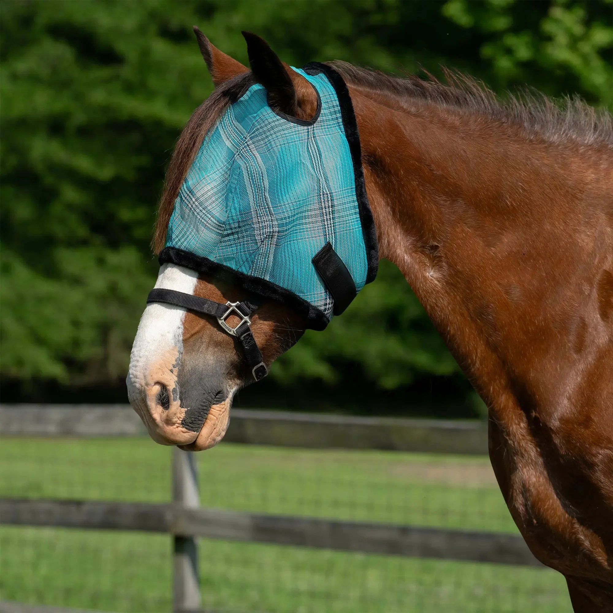 Draft Fly Mask with Fleece Trim - Dual Ear Holes - 73% UV Blocking - Image 4
