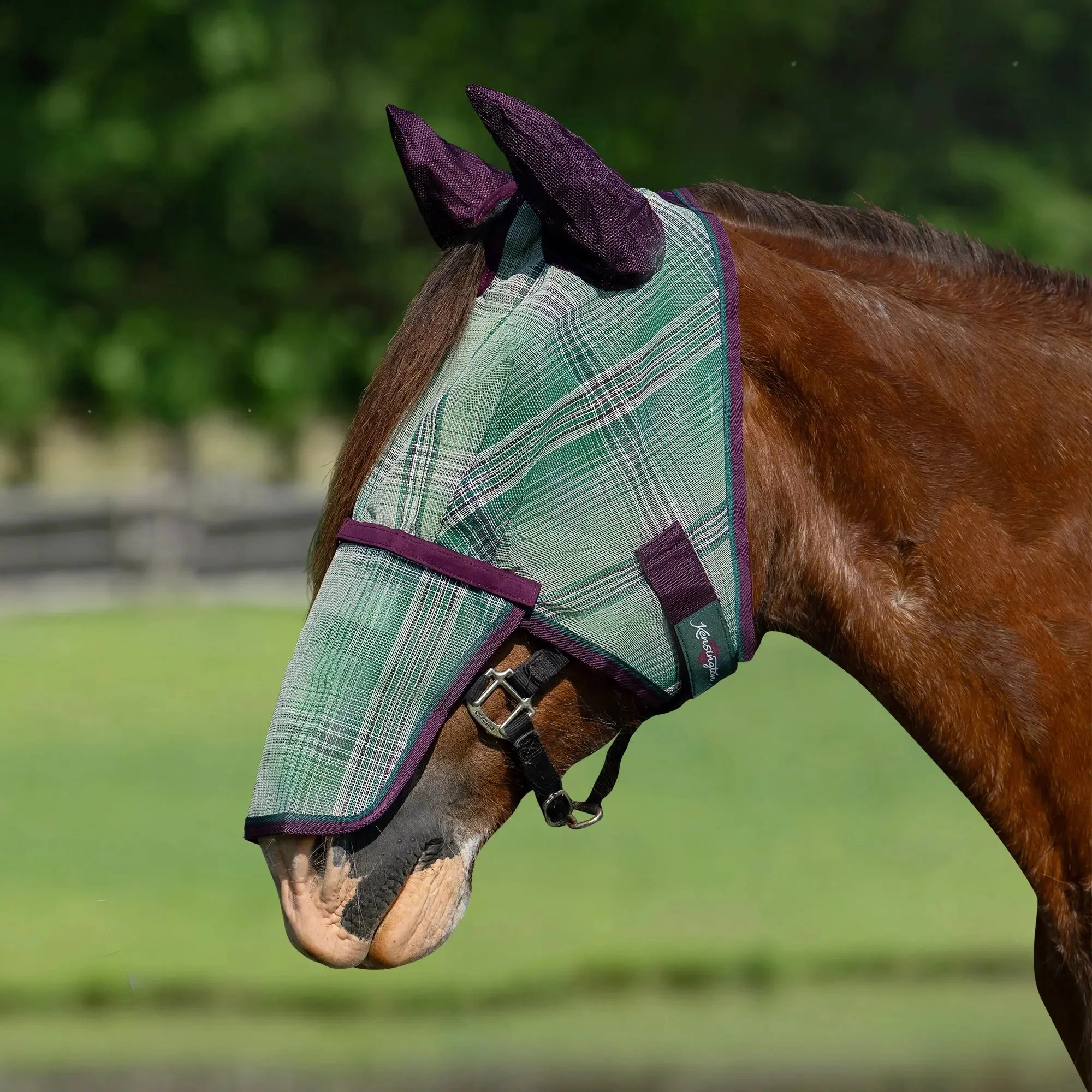 Draft Fly Mask with Removable Nose, Soft Mesh Ears & Forelock Opening - 73% UV Blocking - Image 3