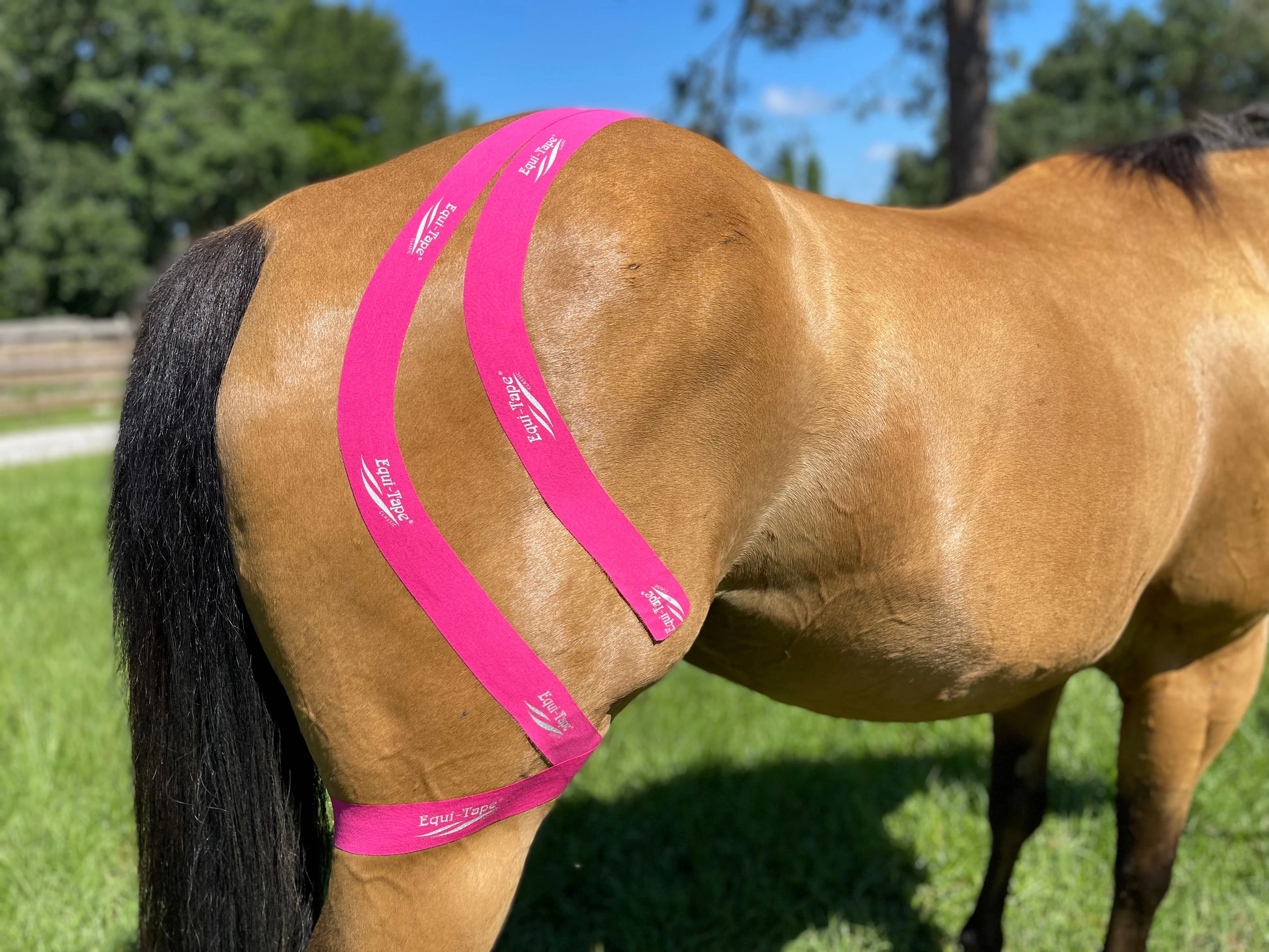 Equi-TapeĀ® Fundamentals Course & Module Bundle - Image 24