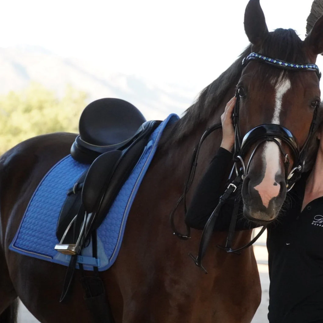 European Cotton Dressage Saddle Pad - Sky Blue - Image 4