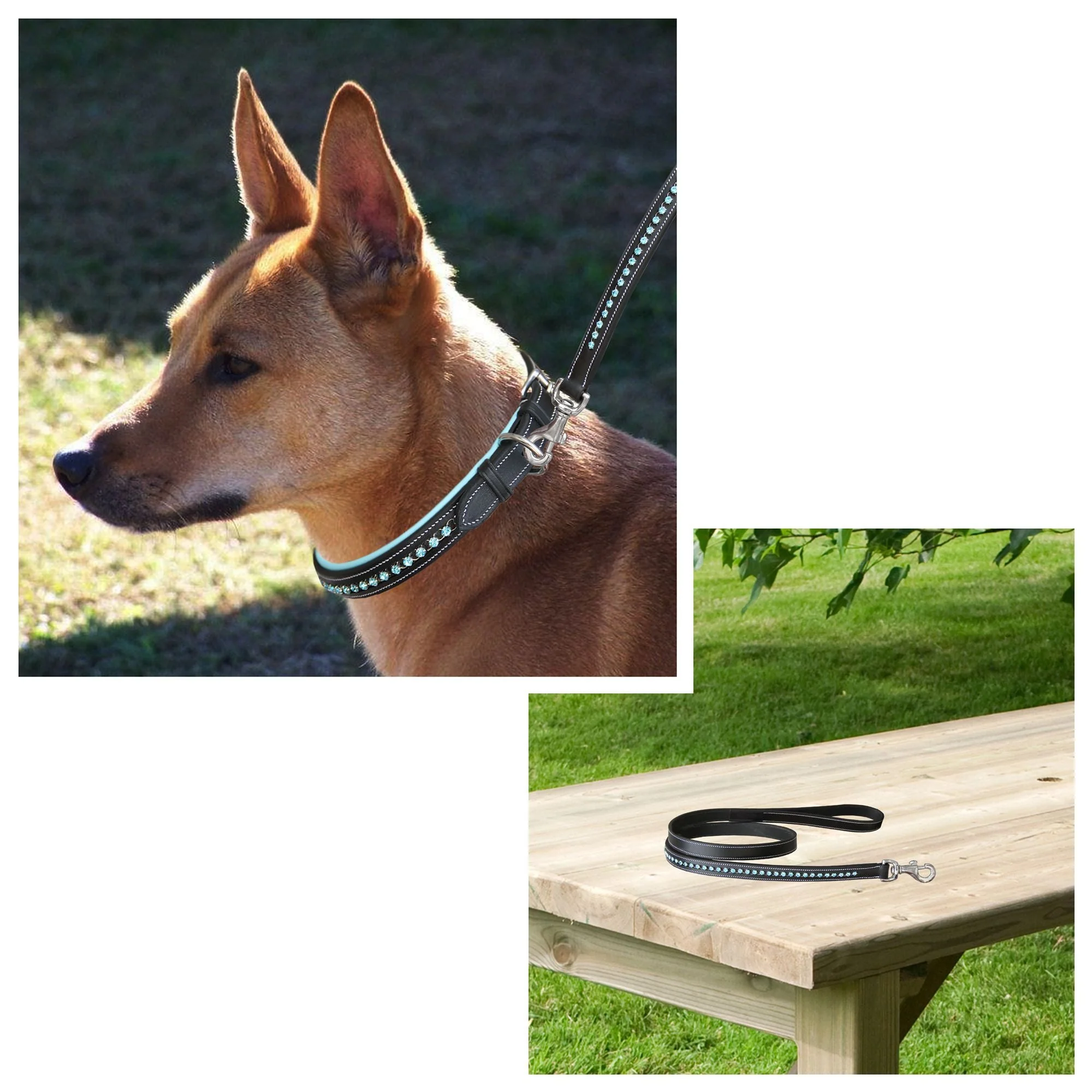 ExionPro Blue Bling Dog Leash - Image 4