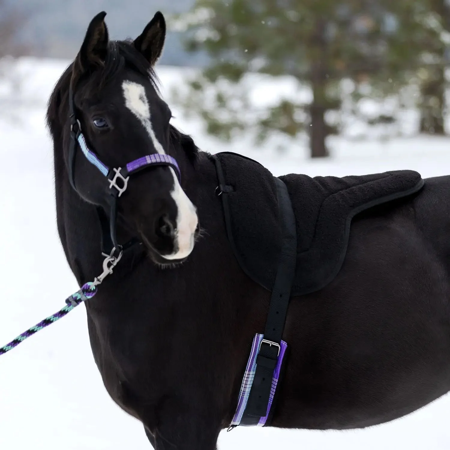 Fleece Bareback Pad - Image 3