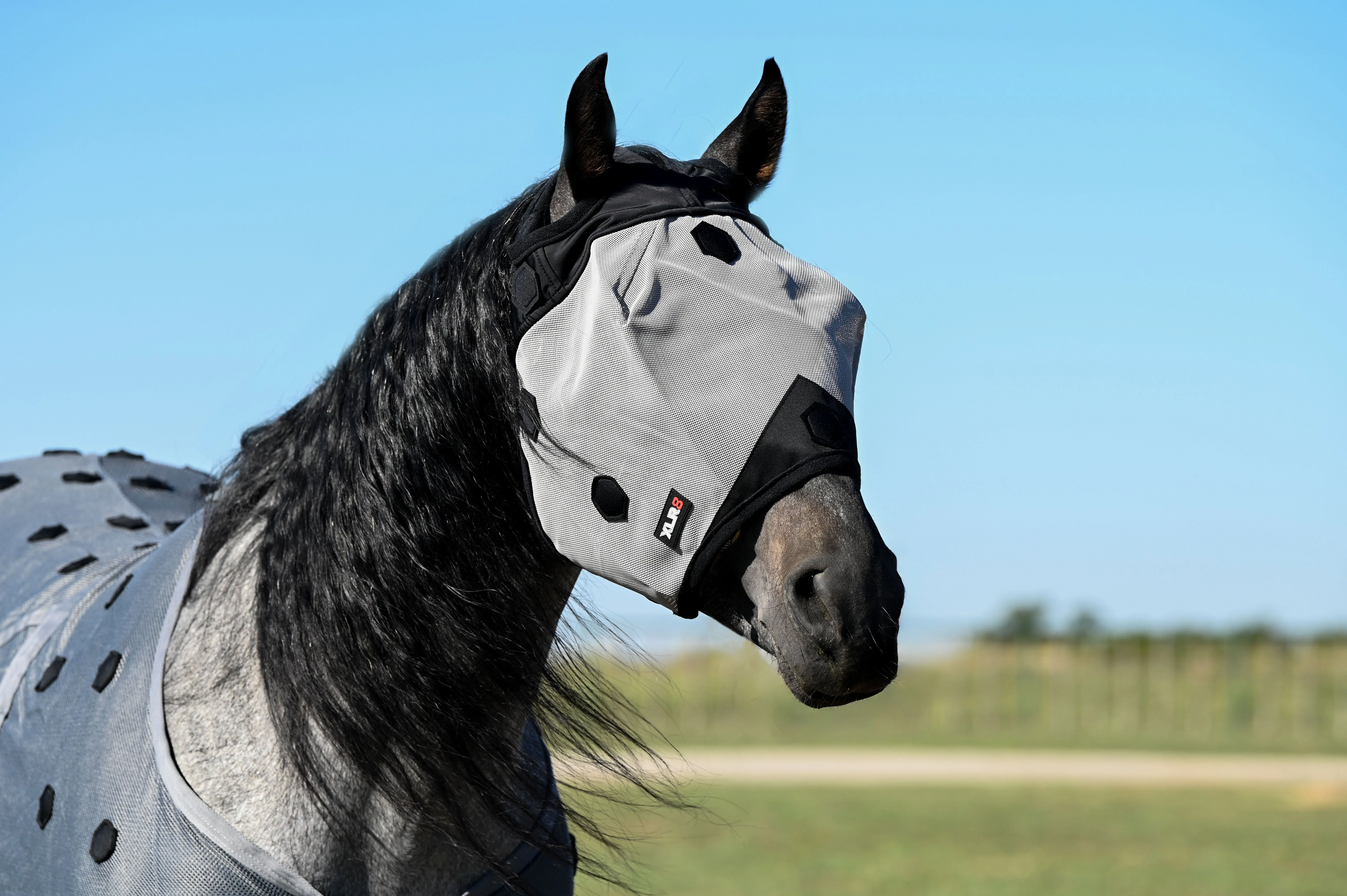 Fly Mask - Image 2