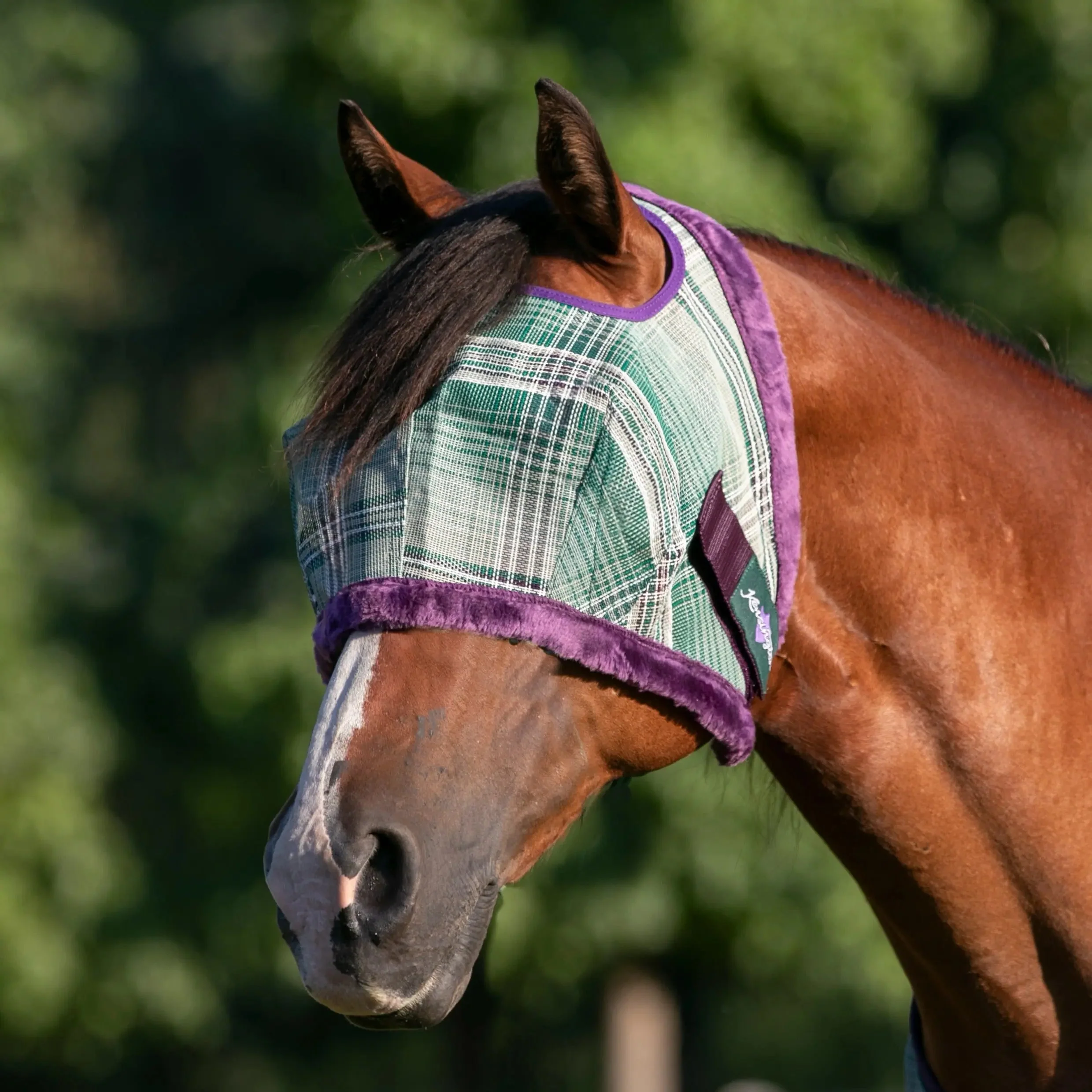 Fly Mask with Fleece Trim - Open Ear Design - 73% UV Blocking - Image 4