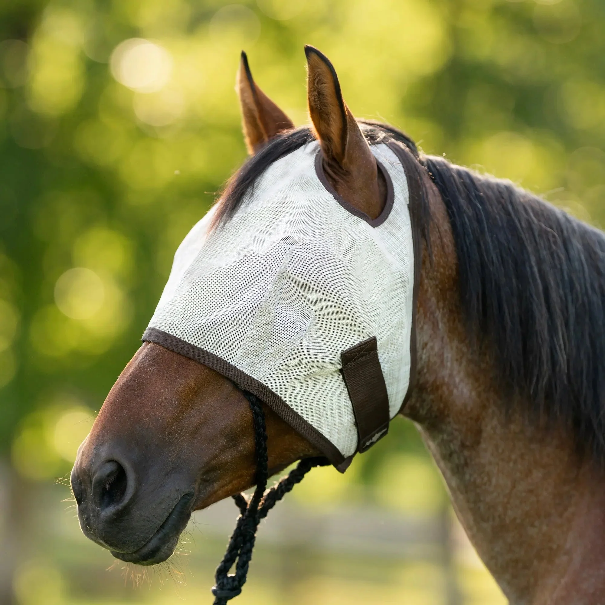 Fly Mask with Web Trim - Dual Ear Opening - 73% UV Blocking - Image 2