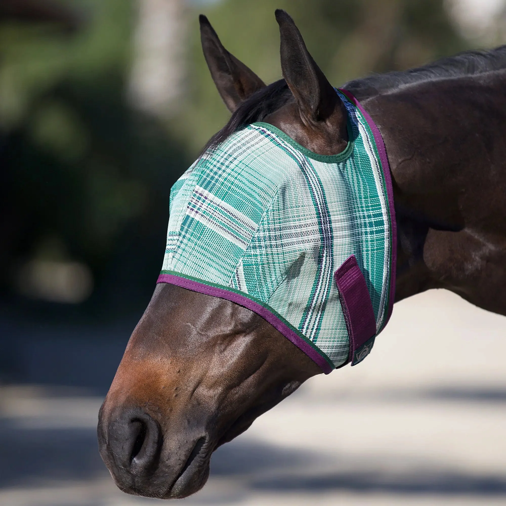Fly Mask with Web Trim - Open Ear Design - 73% UV Blocking - Image 3