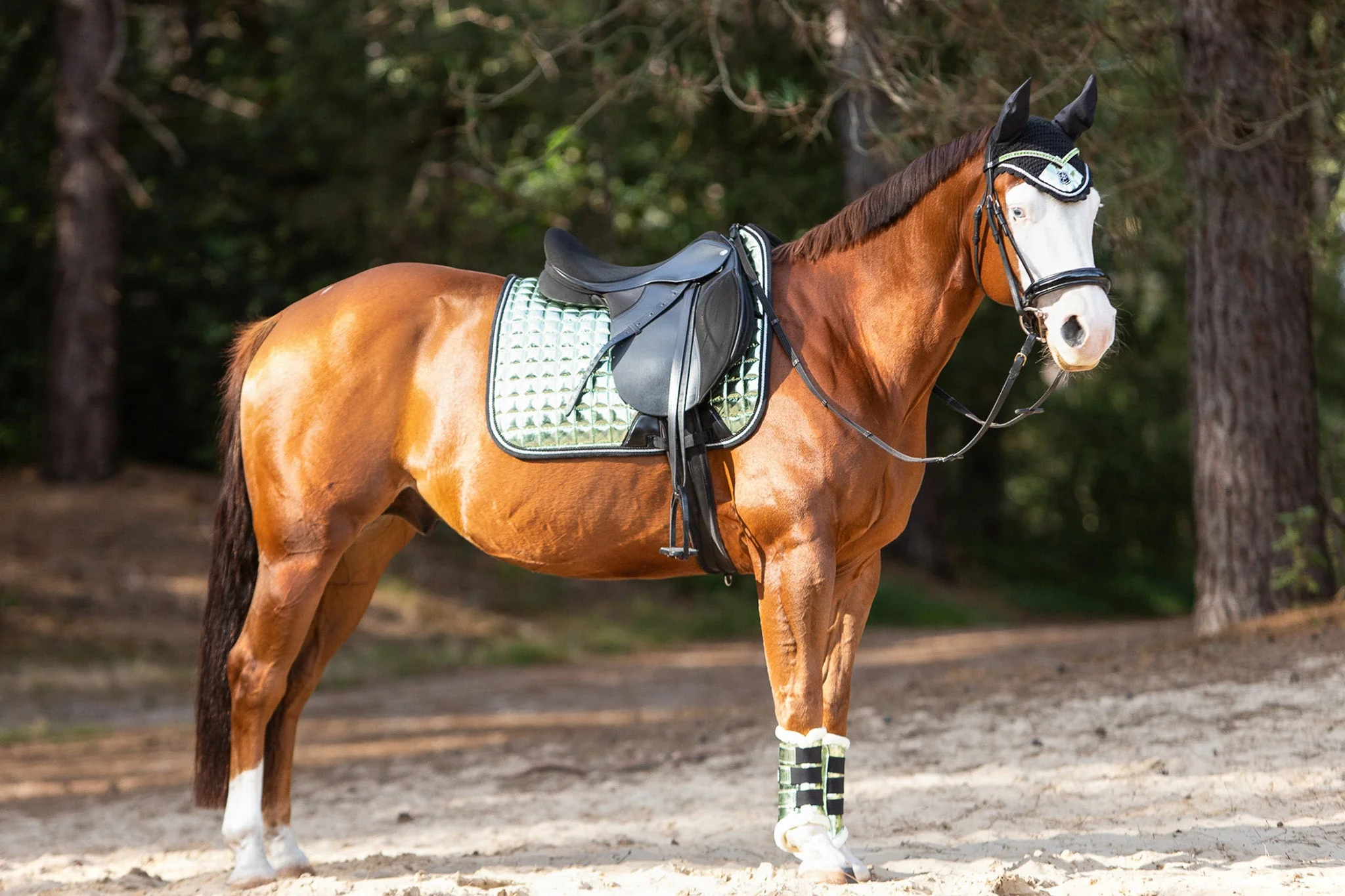 Green Lily Saddle Pad Set - Image 9