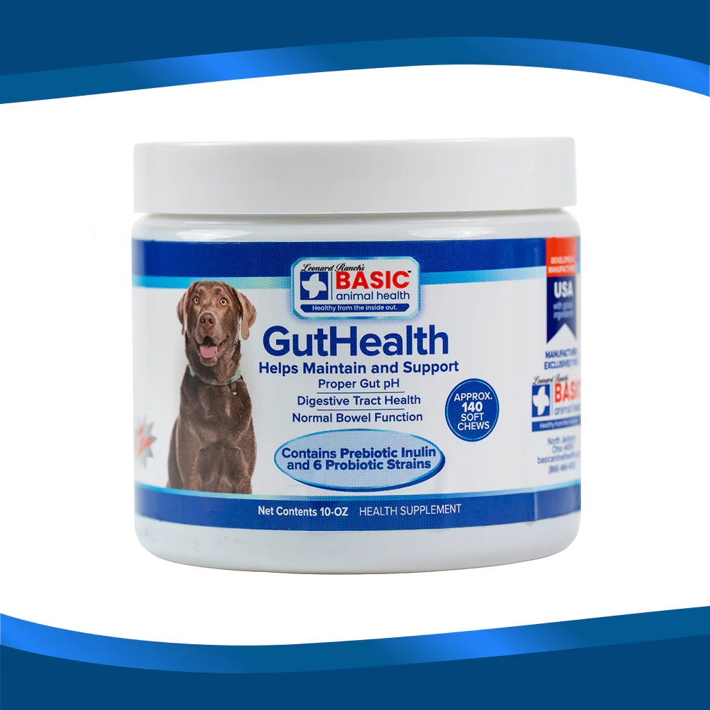GutHealth Xtra Strength for Dogs