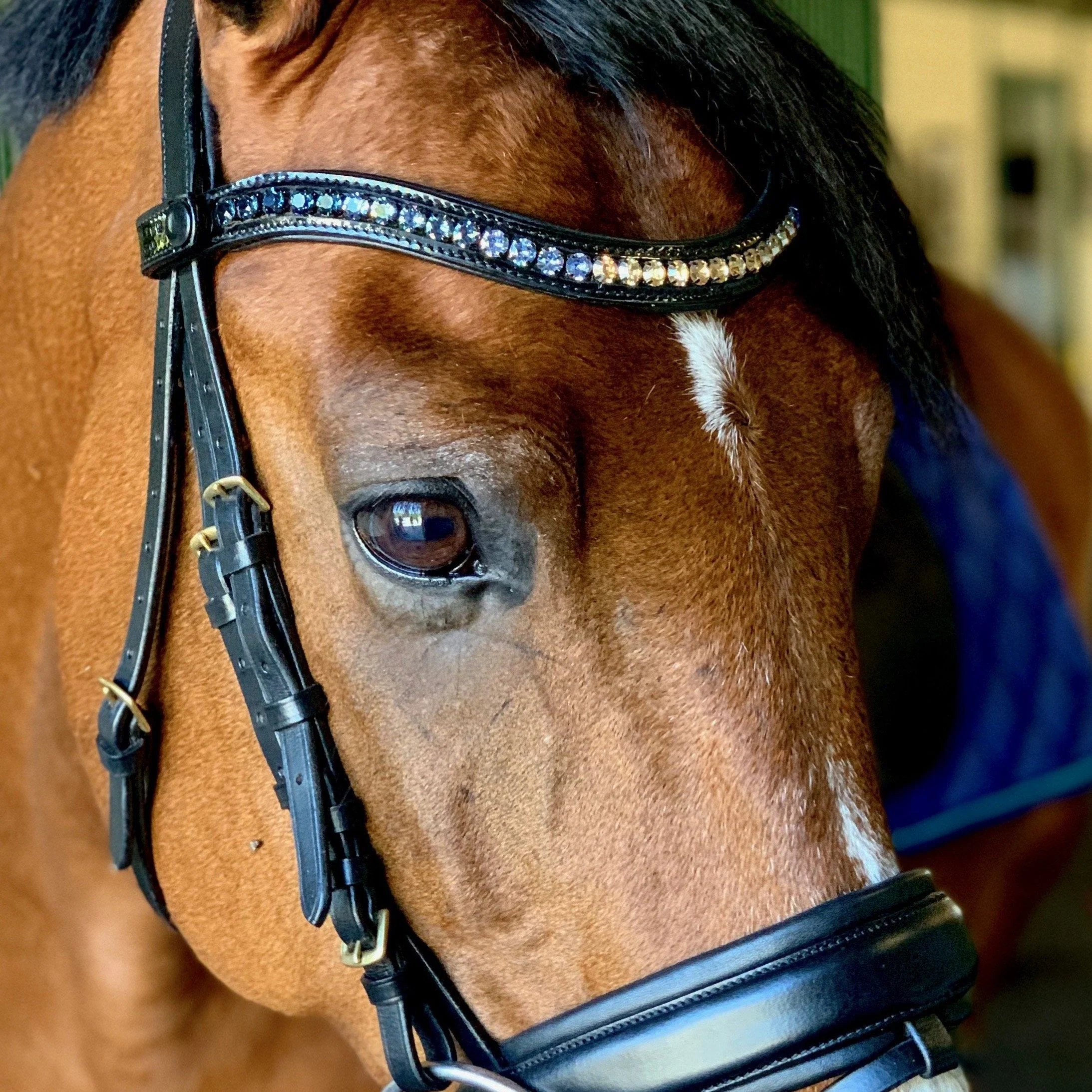 Halter Ego® Crystal Patent Browband - Dusk To Dawn - Image 2