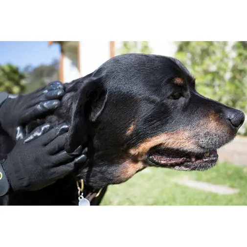 HandsOn® Grooming Gloves - Image 4