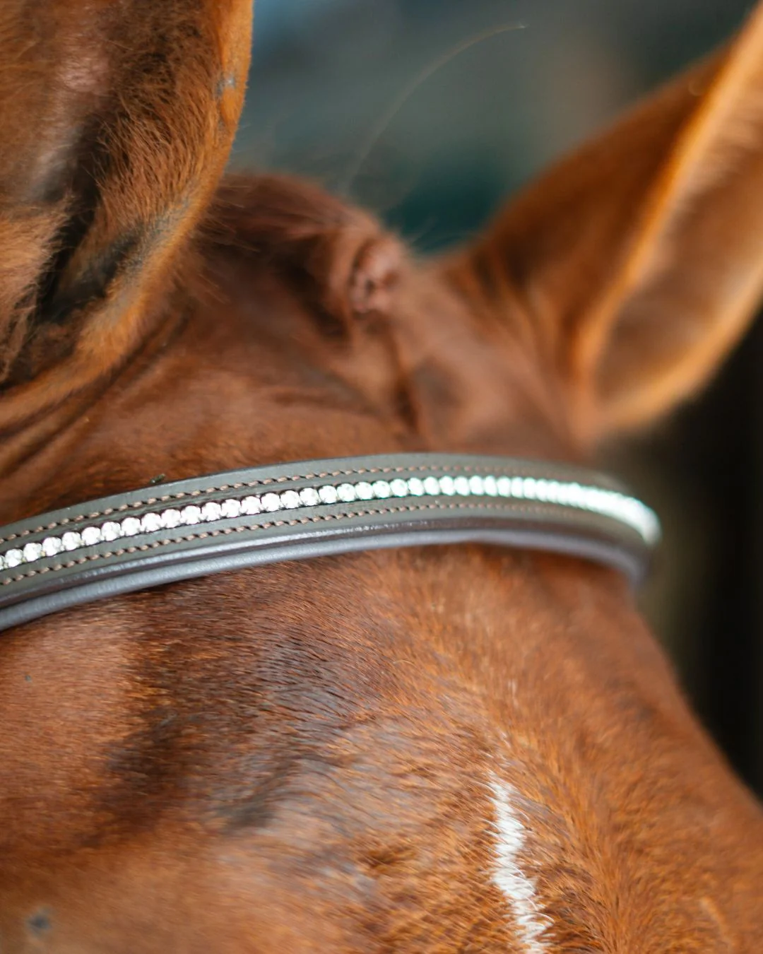 Hidden Flash! Pro-Fit Comfortable Bridle - Image 4