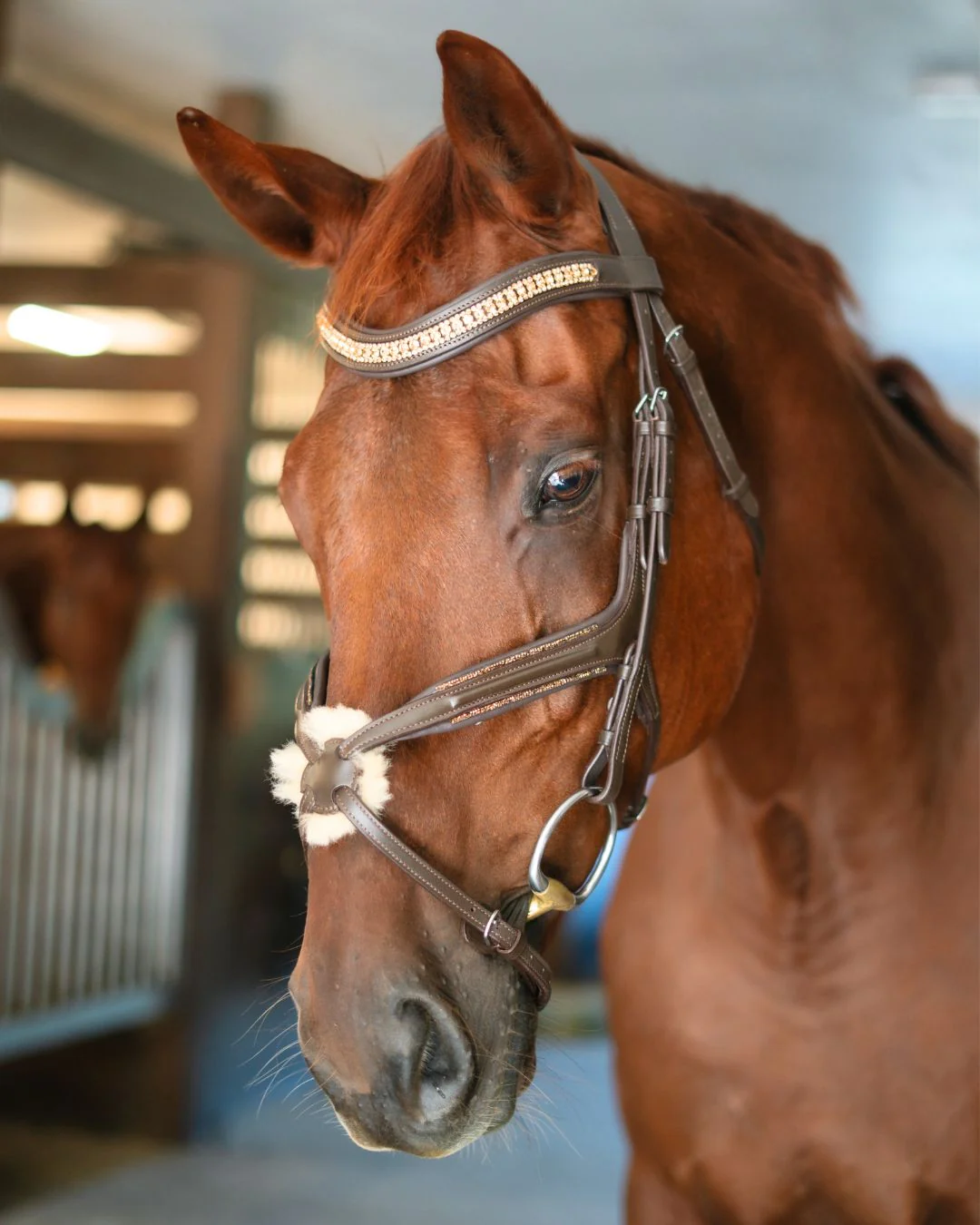 Hidden Flash! Pro-fit Comfortable Bridle with Patent Noseband and Crystal Browband