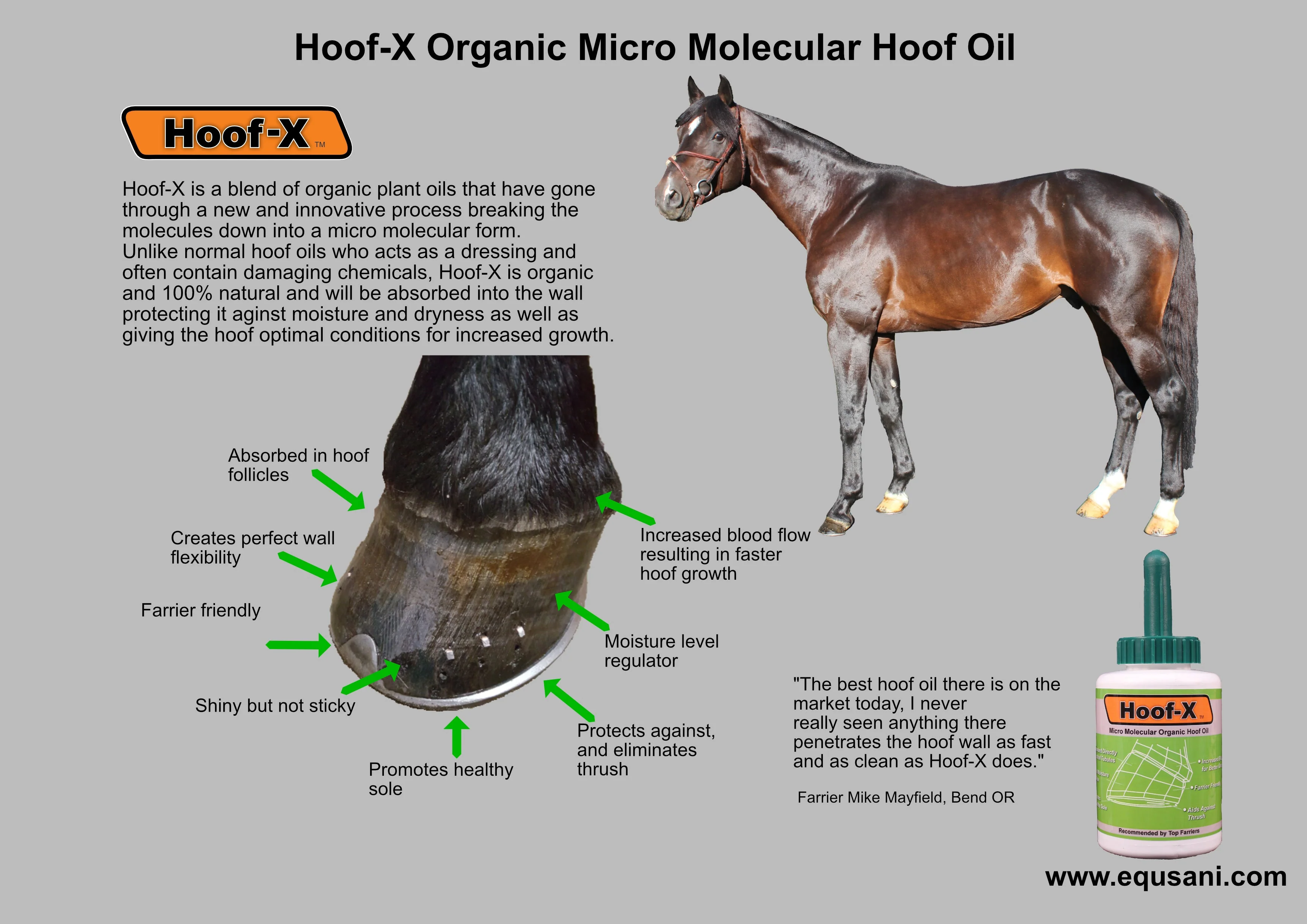 Hoof-X Organic Micro Molecular Hoof Oil - Image 3