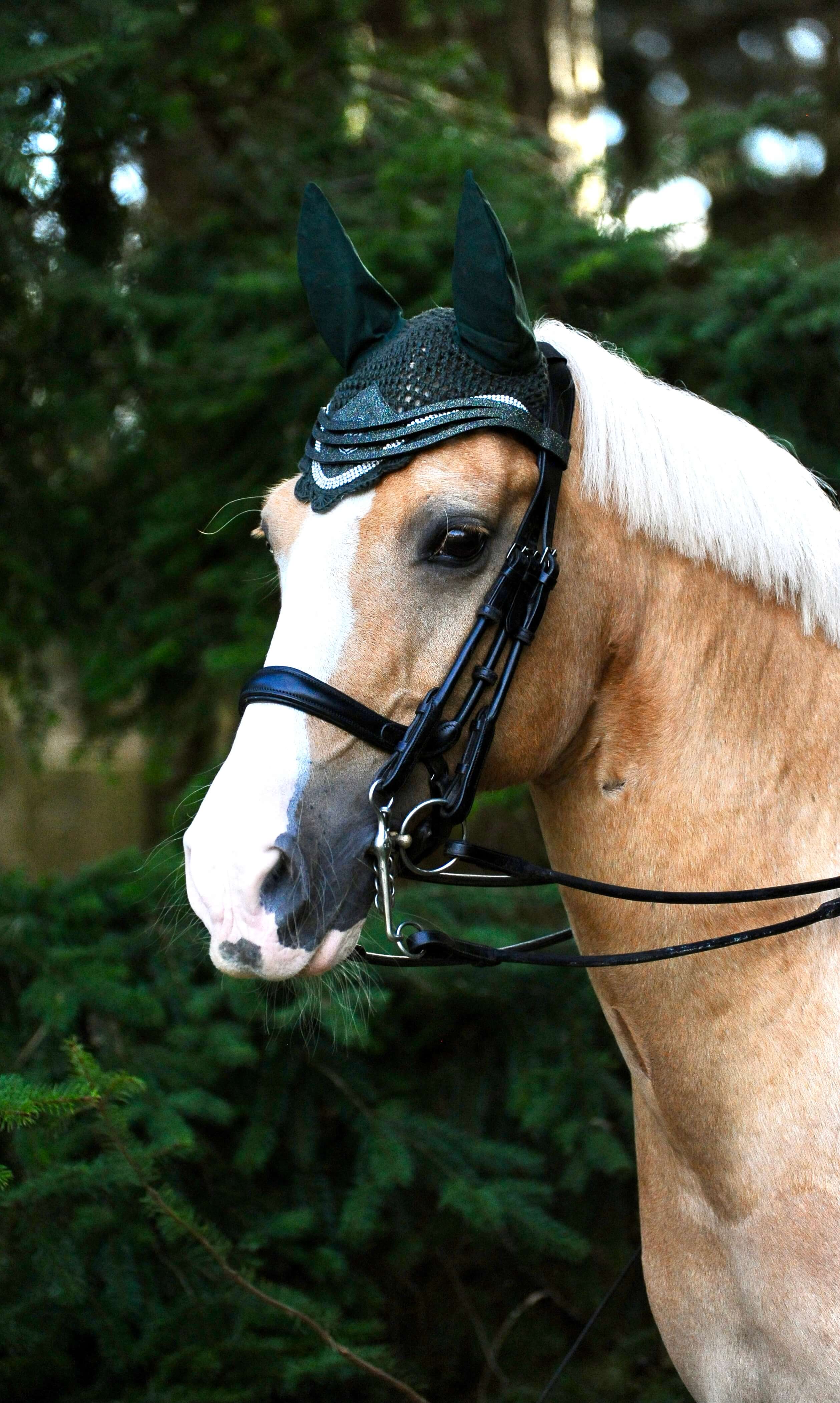 Jade Green Browband - Image 3
