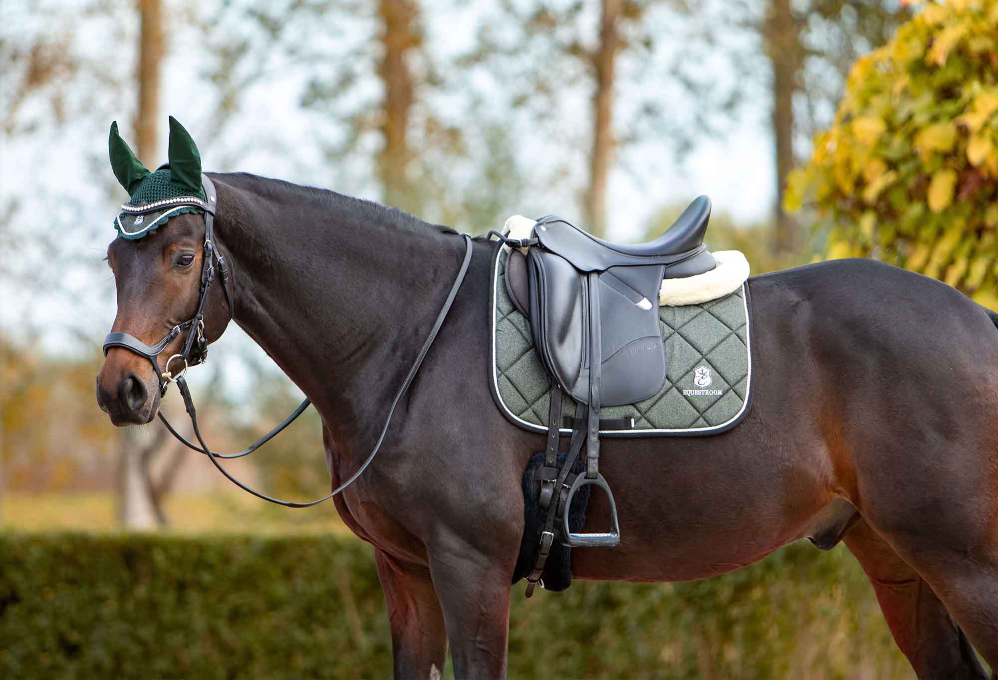 Jade Green Saddle Pad Set - Image 2